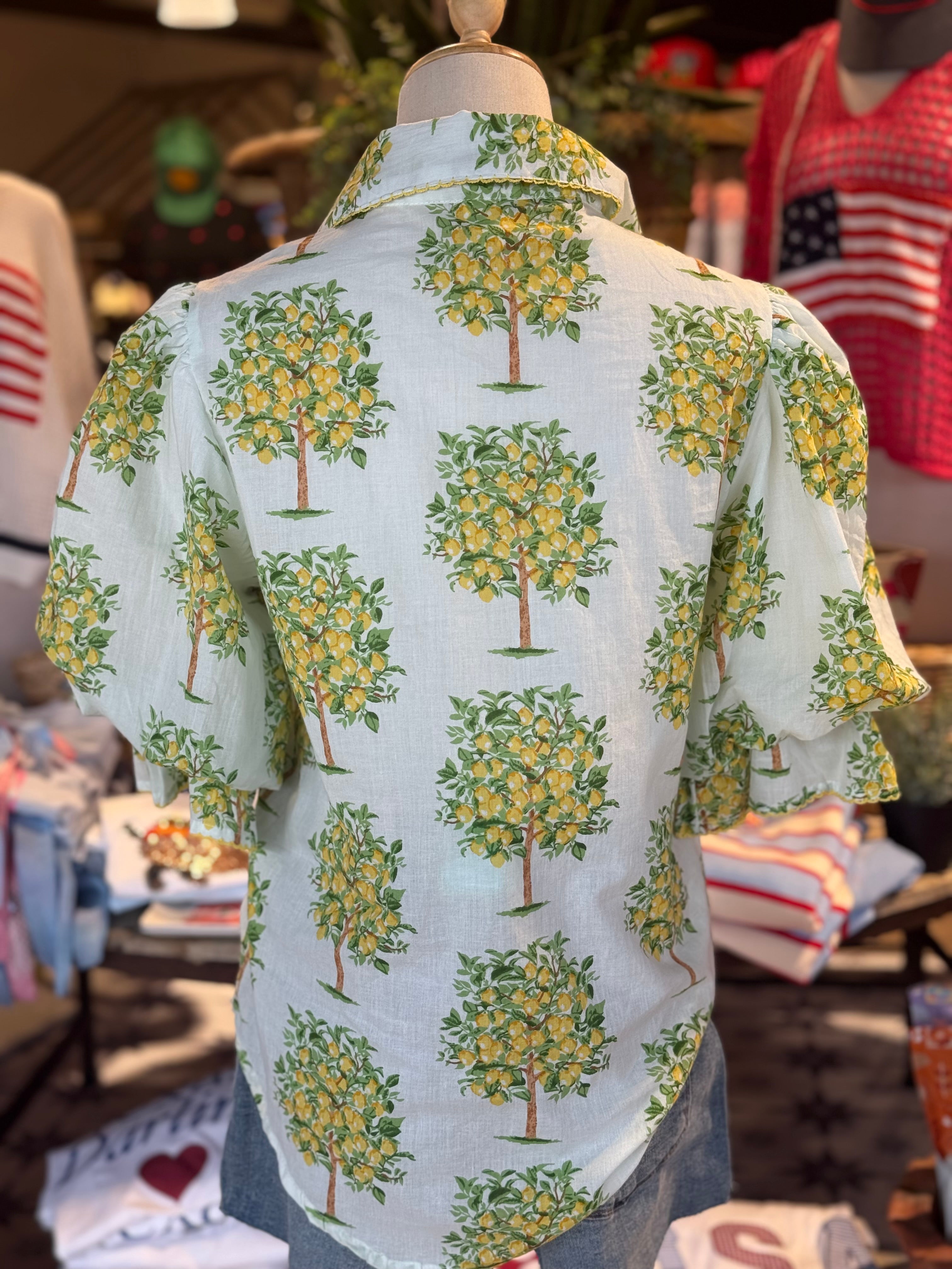 Lemon Tree Top