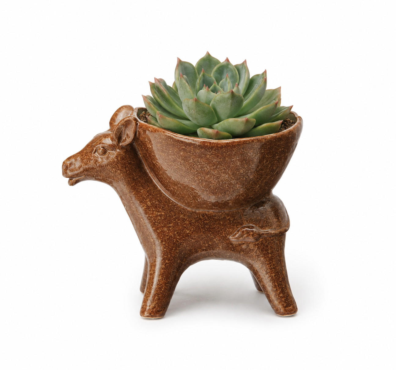 Donkey with Bowl ( each one vary)