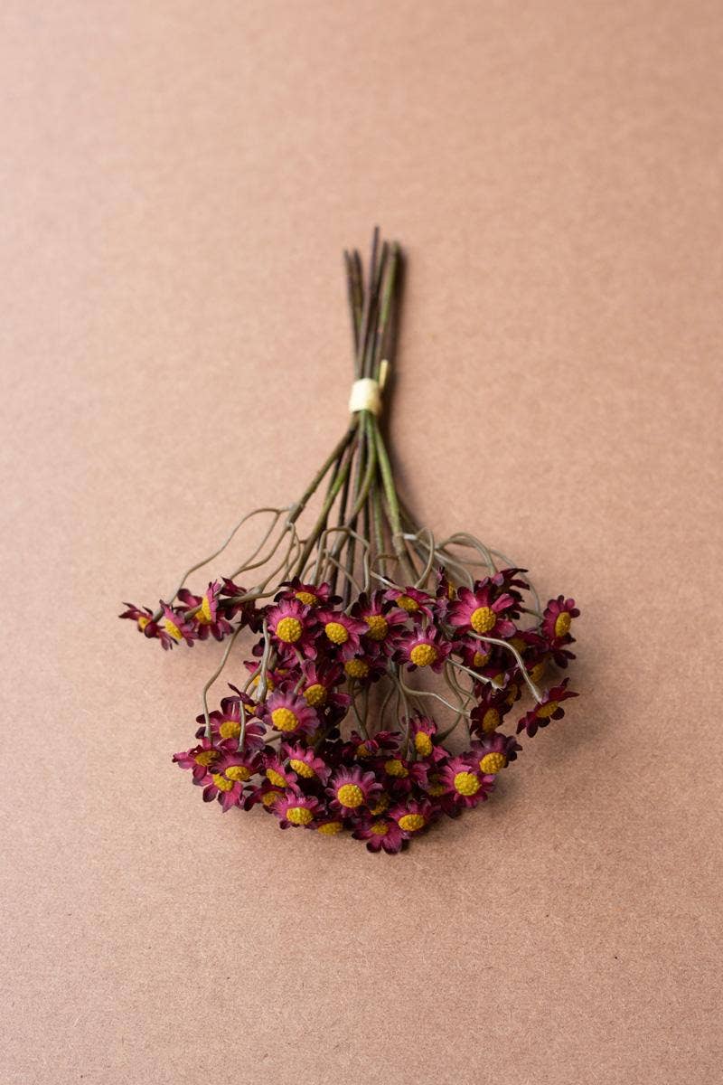 Chamomile Bundle-Assorted