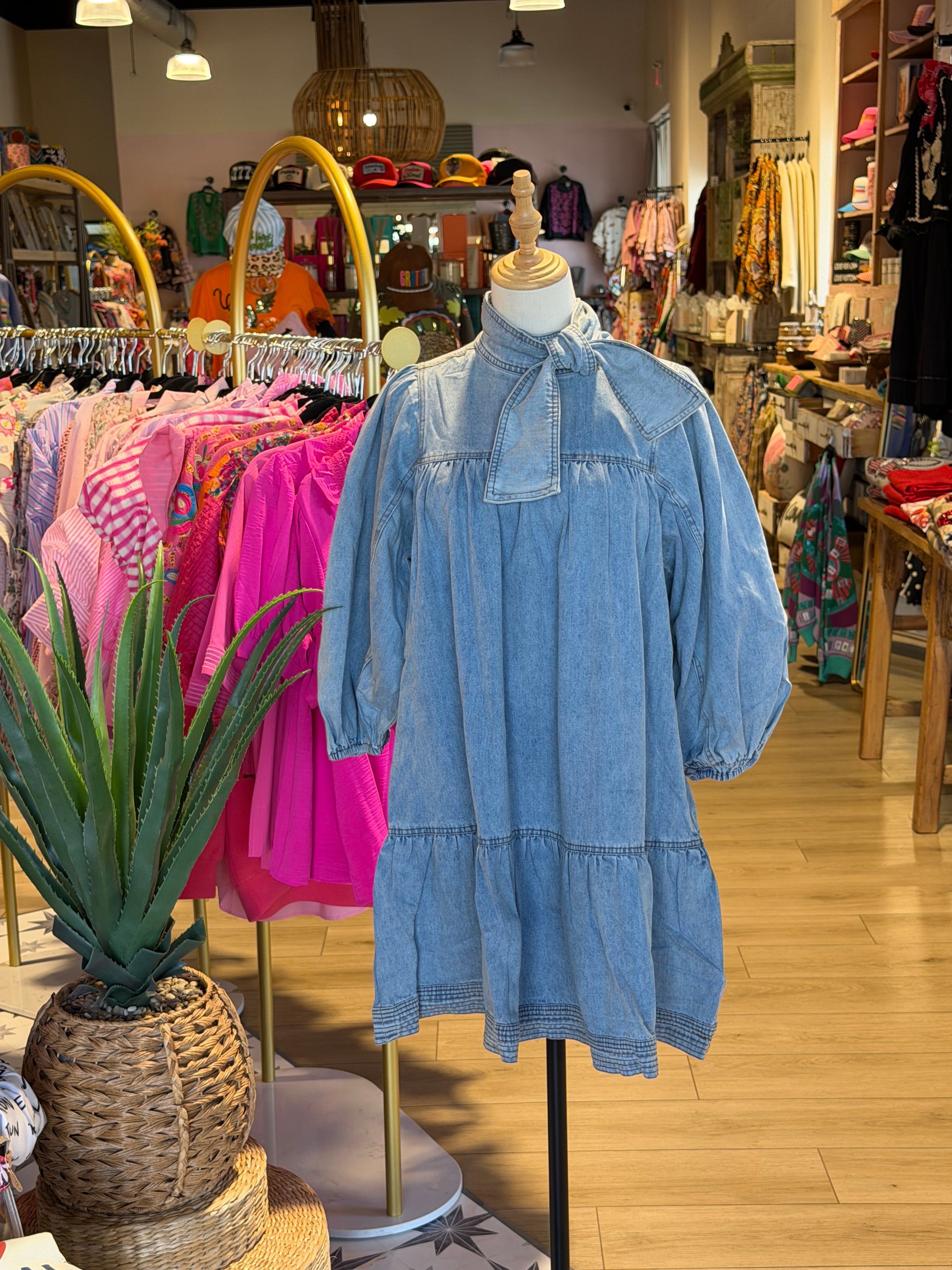 Zelda Denim Dress