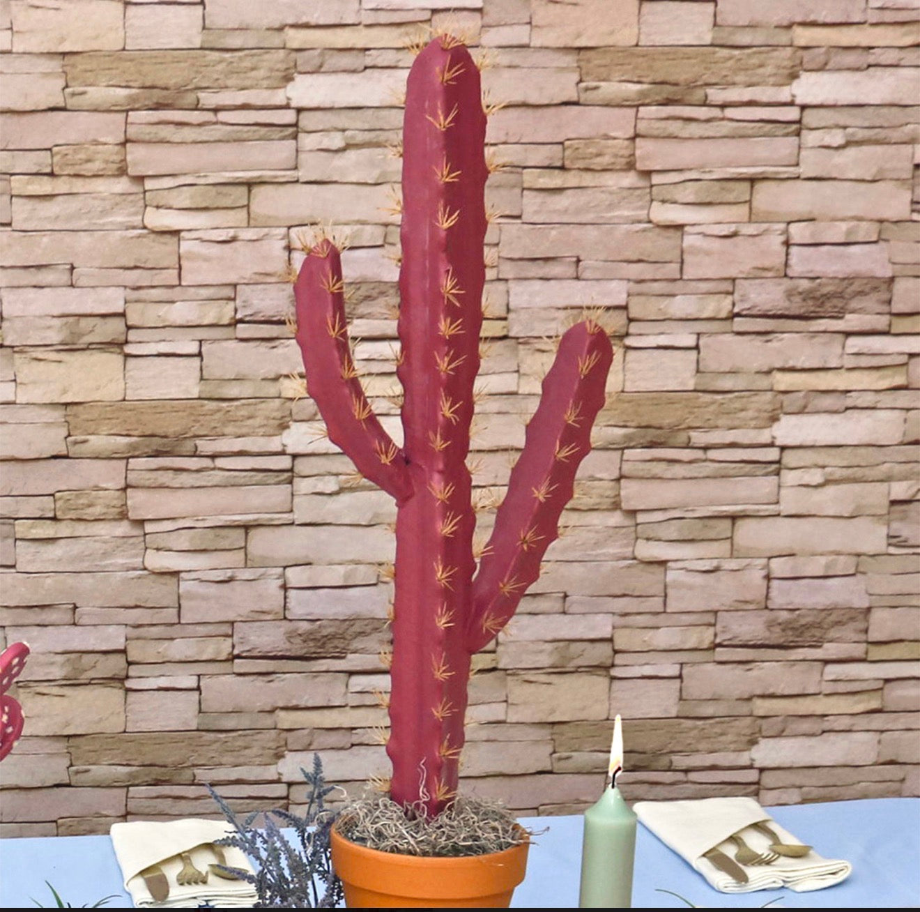 Pink Cactus Stakes