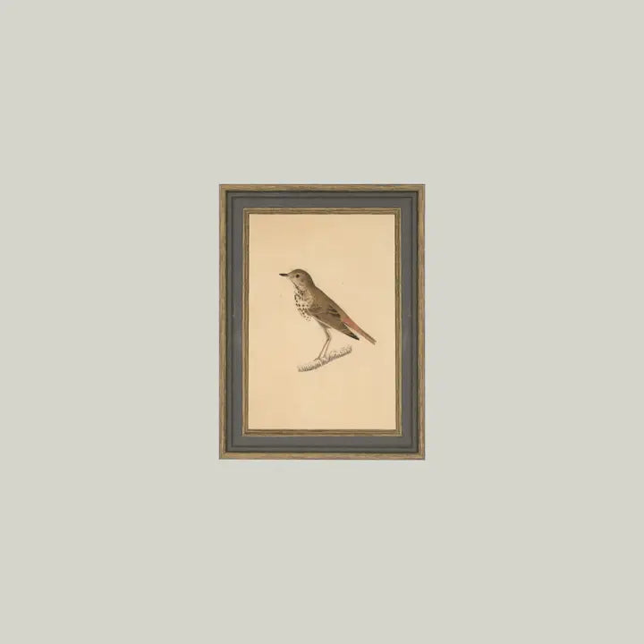 Framed Art 4x6-Assorted