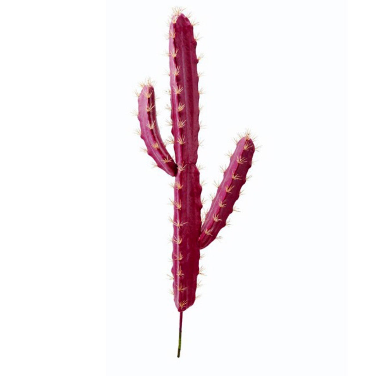 Pink Cactus Stakes