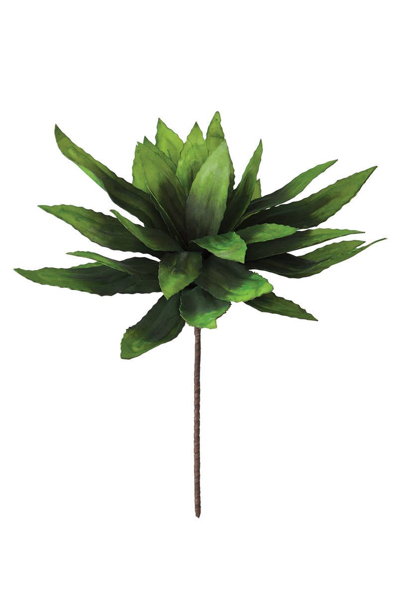 Crown Green Leaf