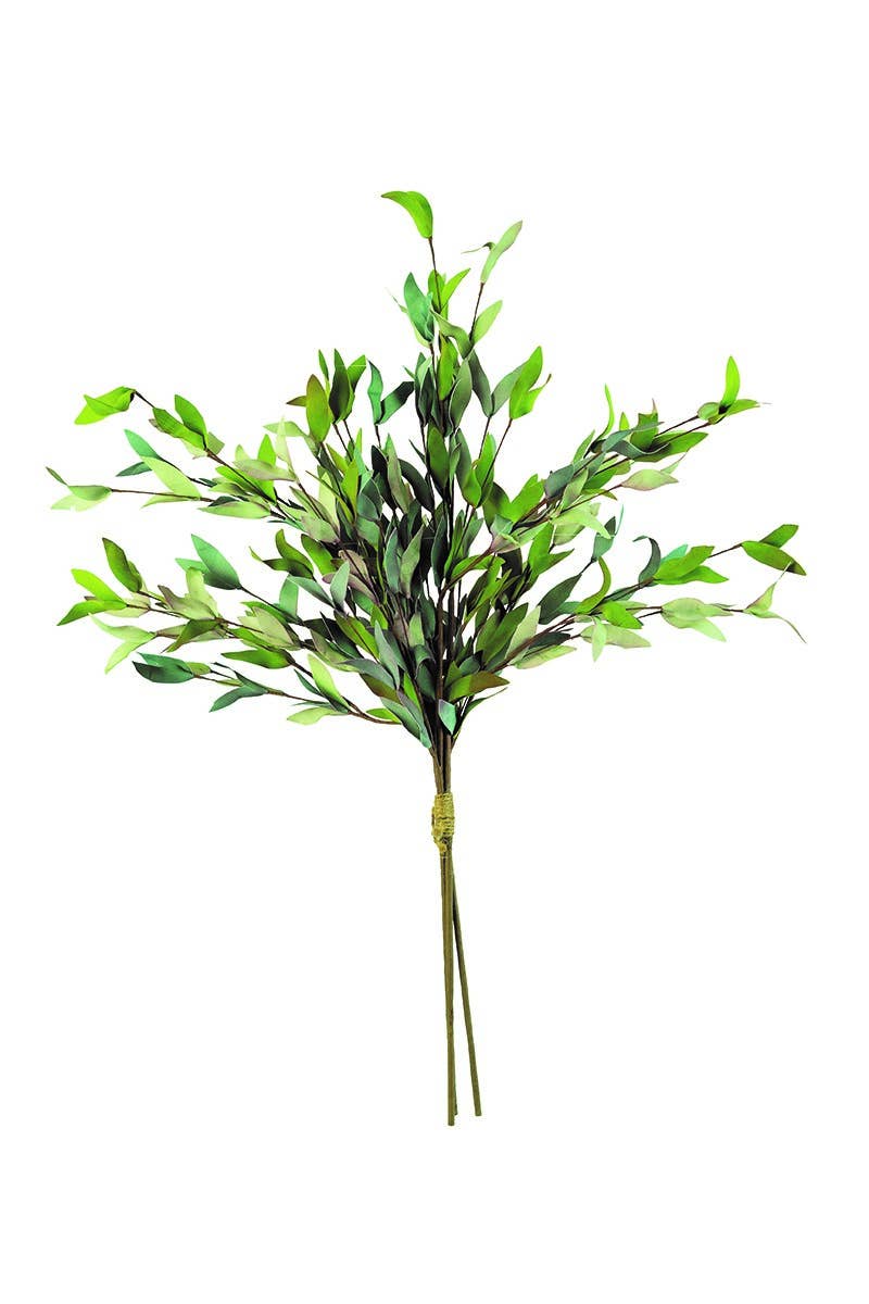 Botanica Lux