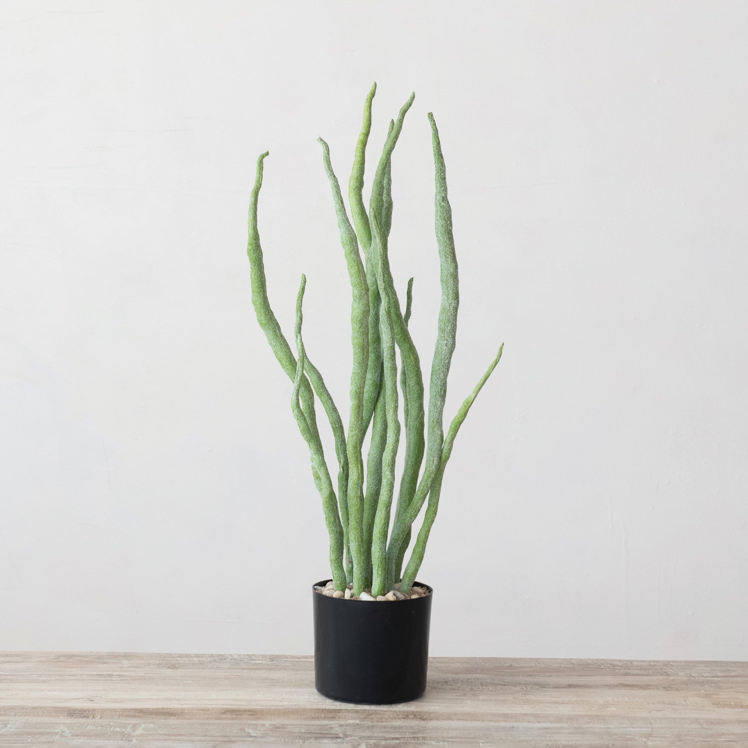 Euphorbia Faux Plant