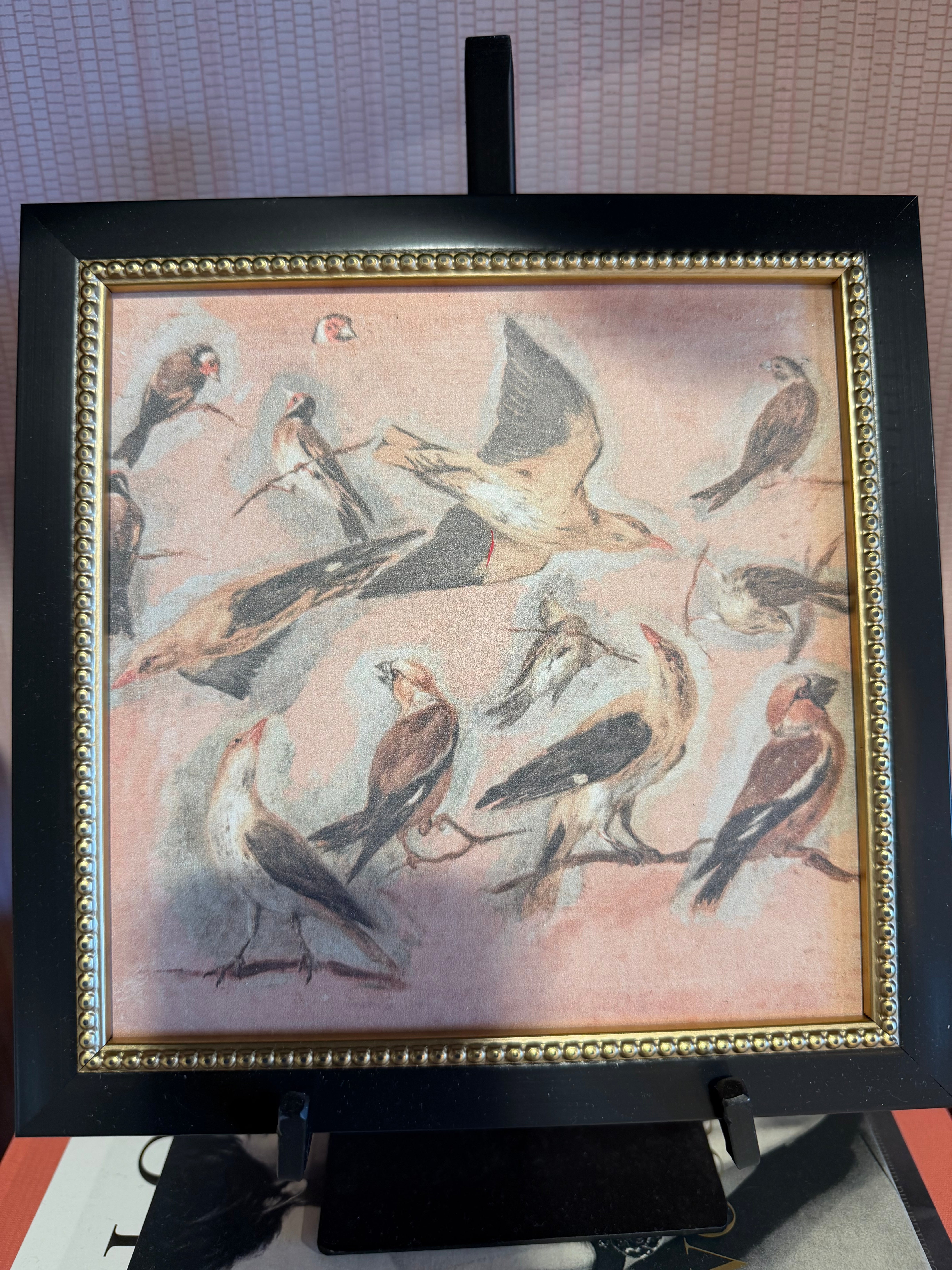 Pink Birds Framed Art