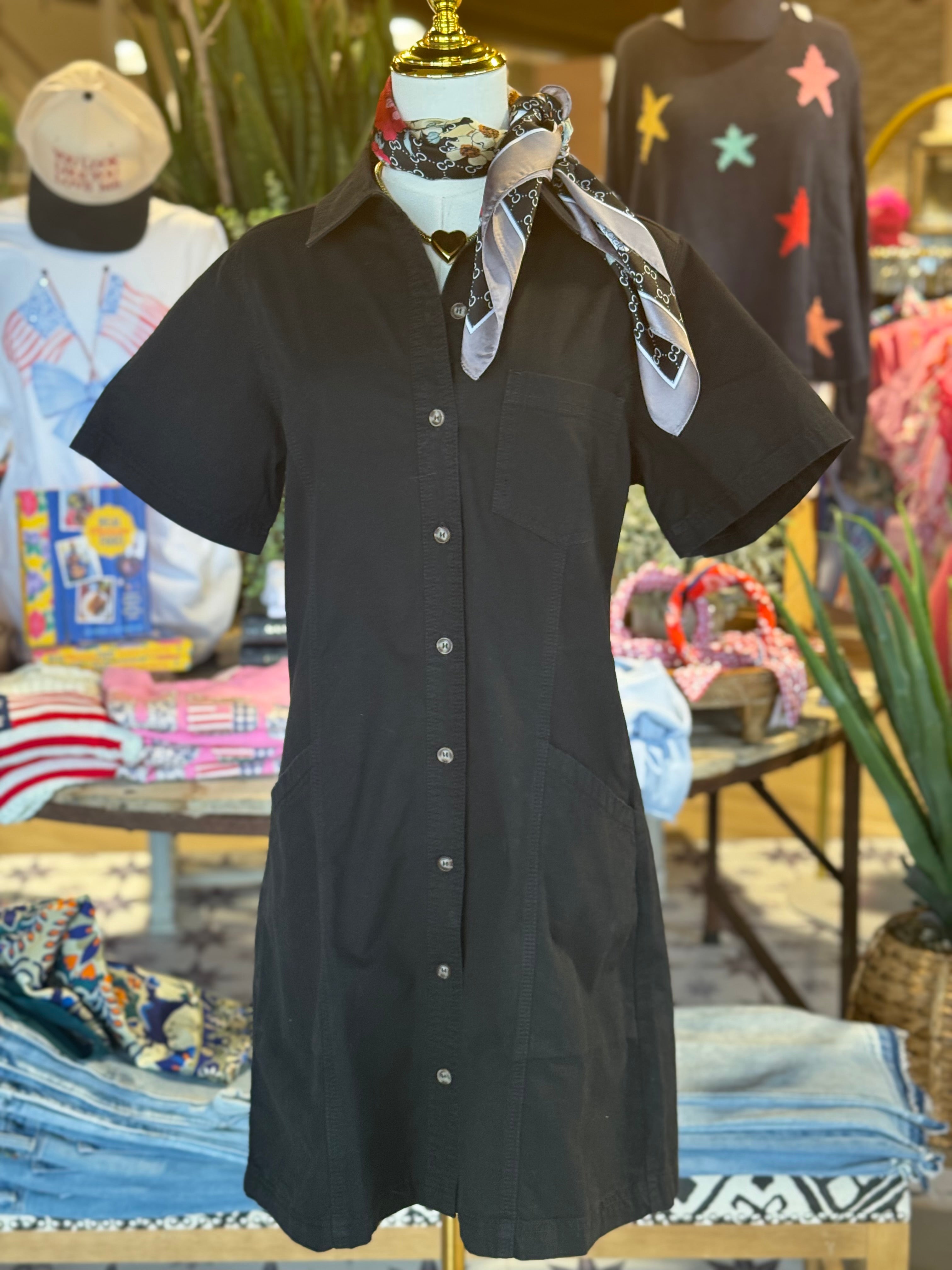 Twill Paneled Shirt Dress