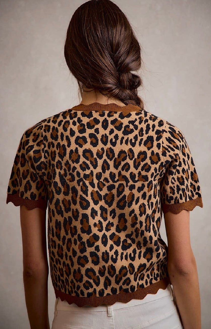 LEOPARD PRINT Tee Sweater