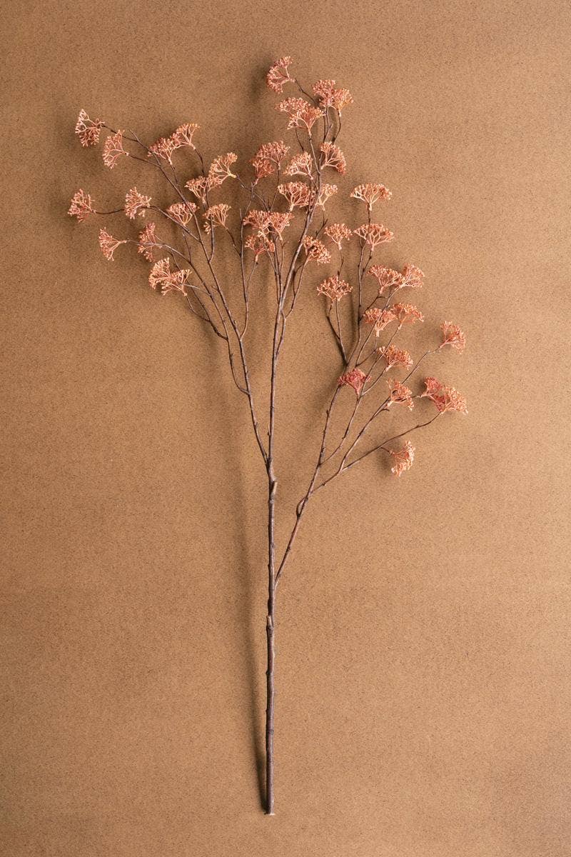 Blush Rice Flower