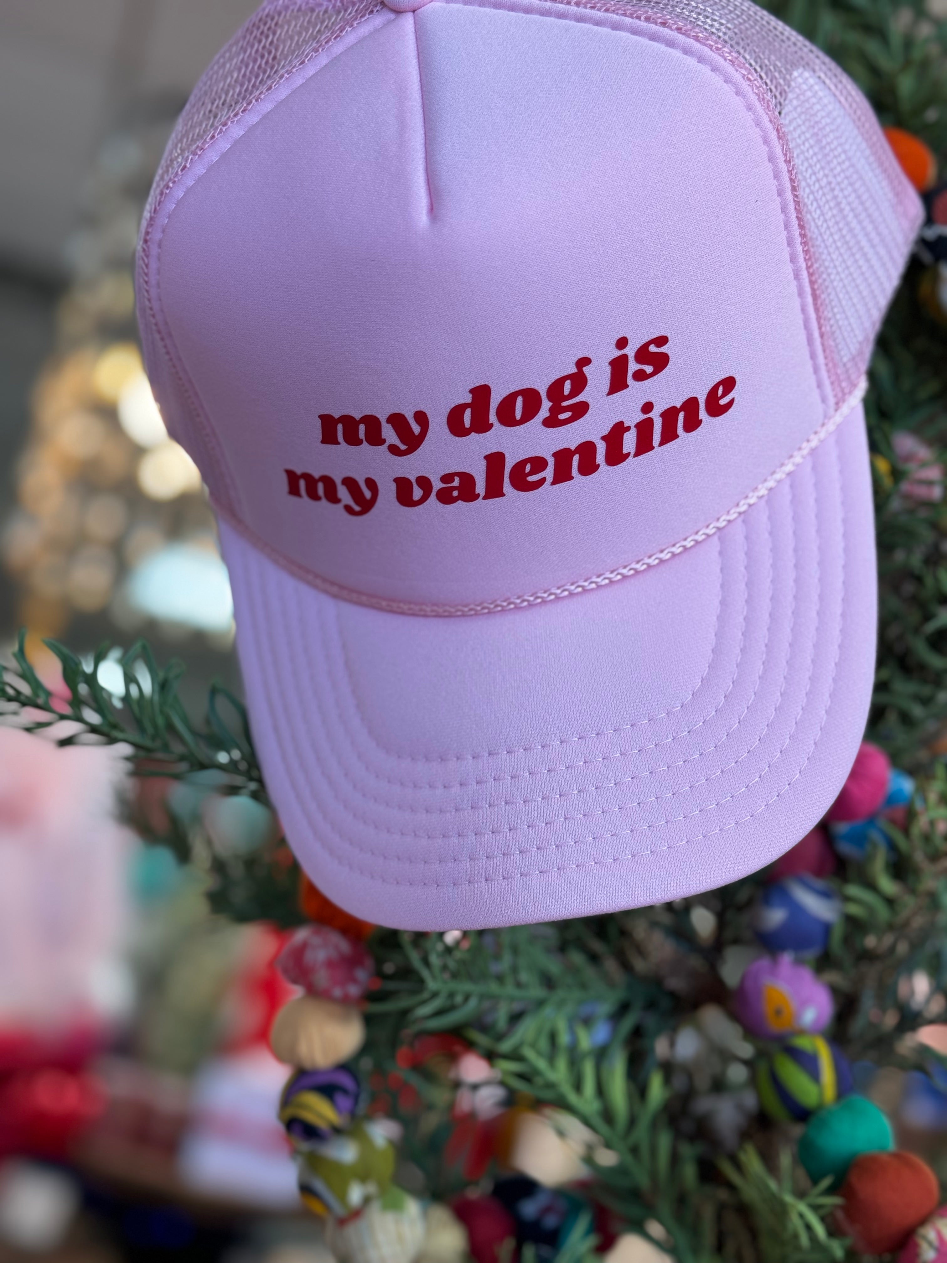 My Dog is my Valentine 💌