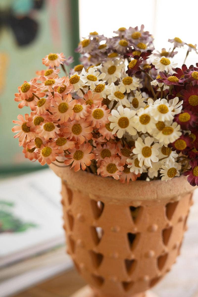 Chamomile Bundle-Assorted
