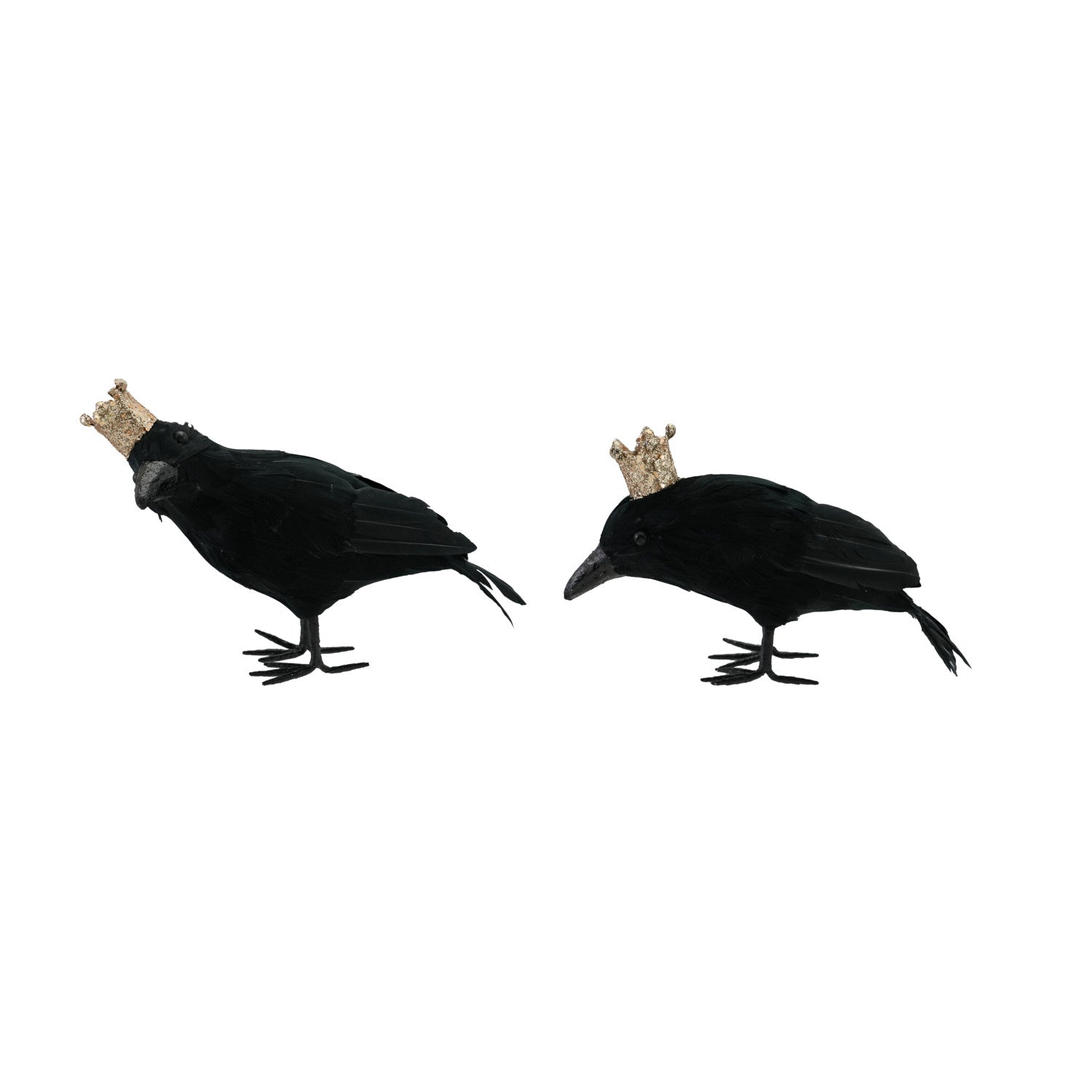 Foam Black Crows- 2 Styles