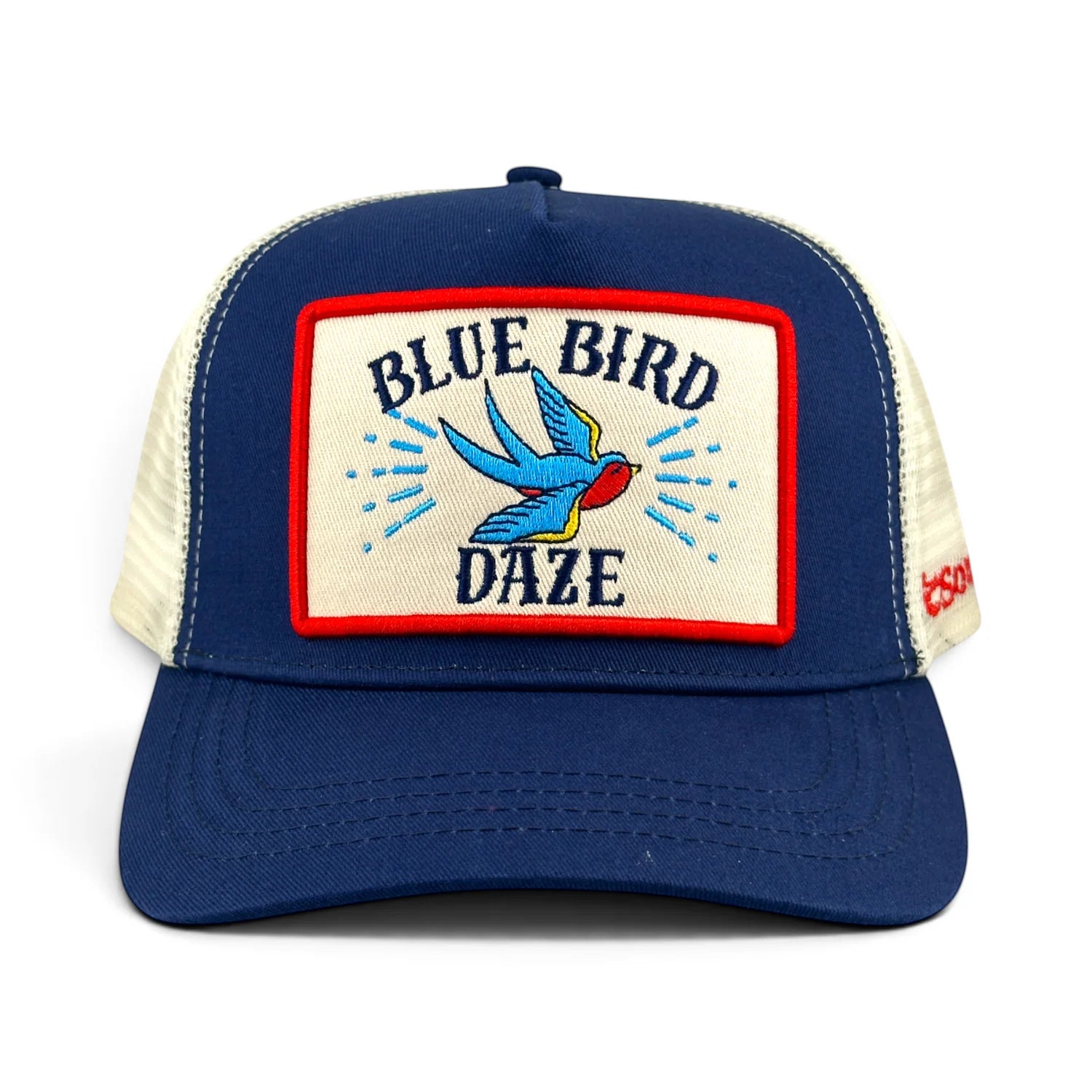 Blue Bird Hat