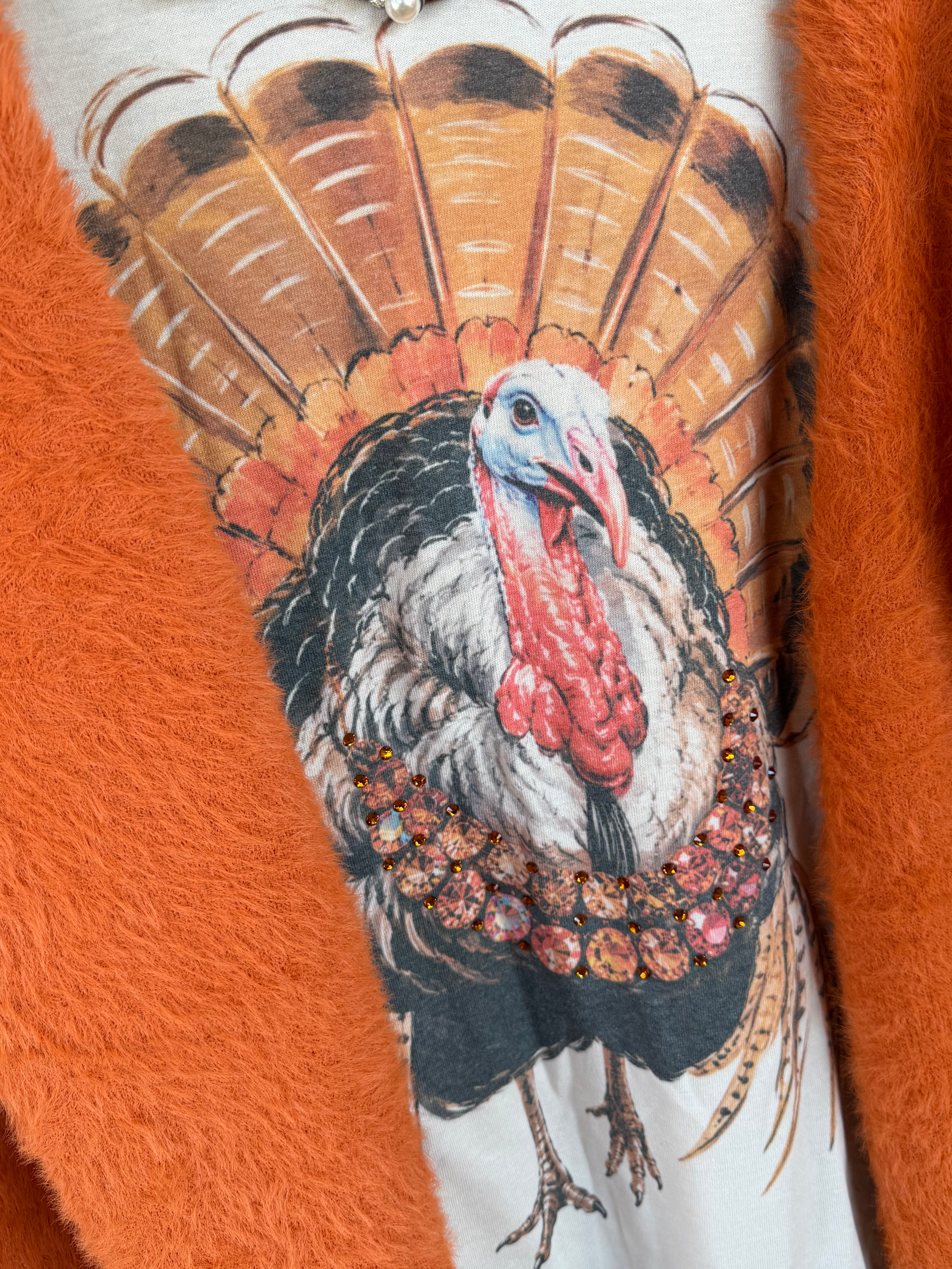Wilber Turkey Tee