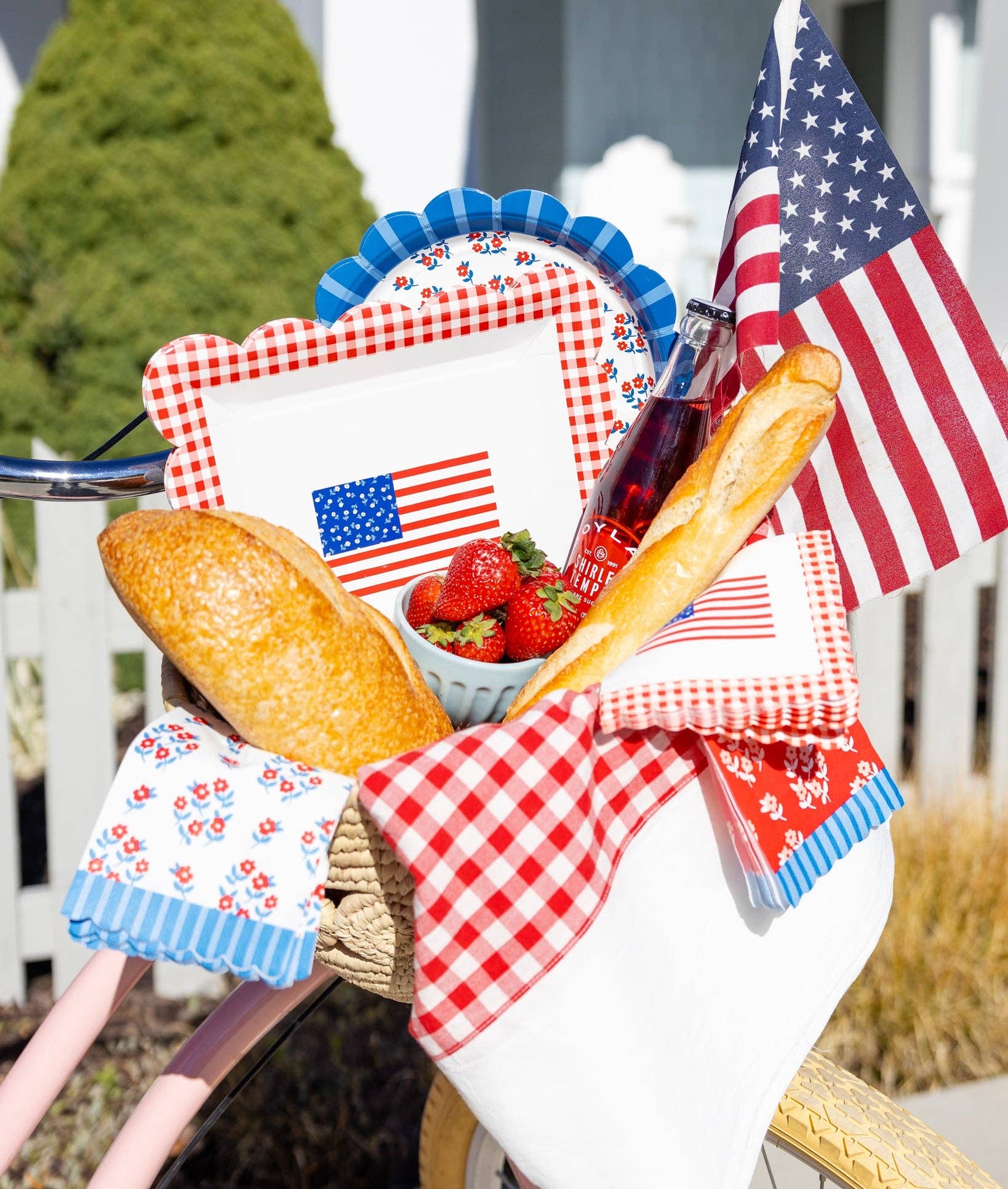 Gingham Plate & Napkins
