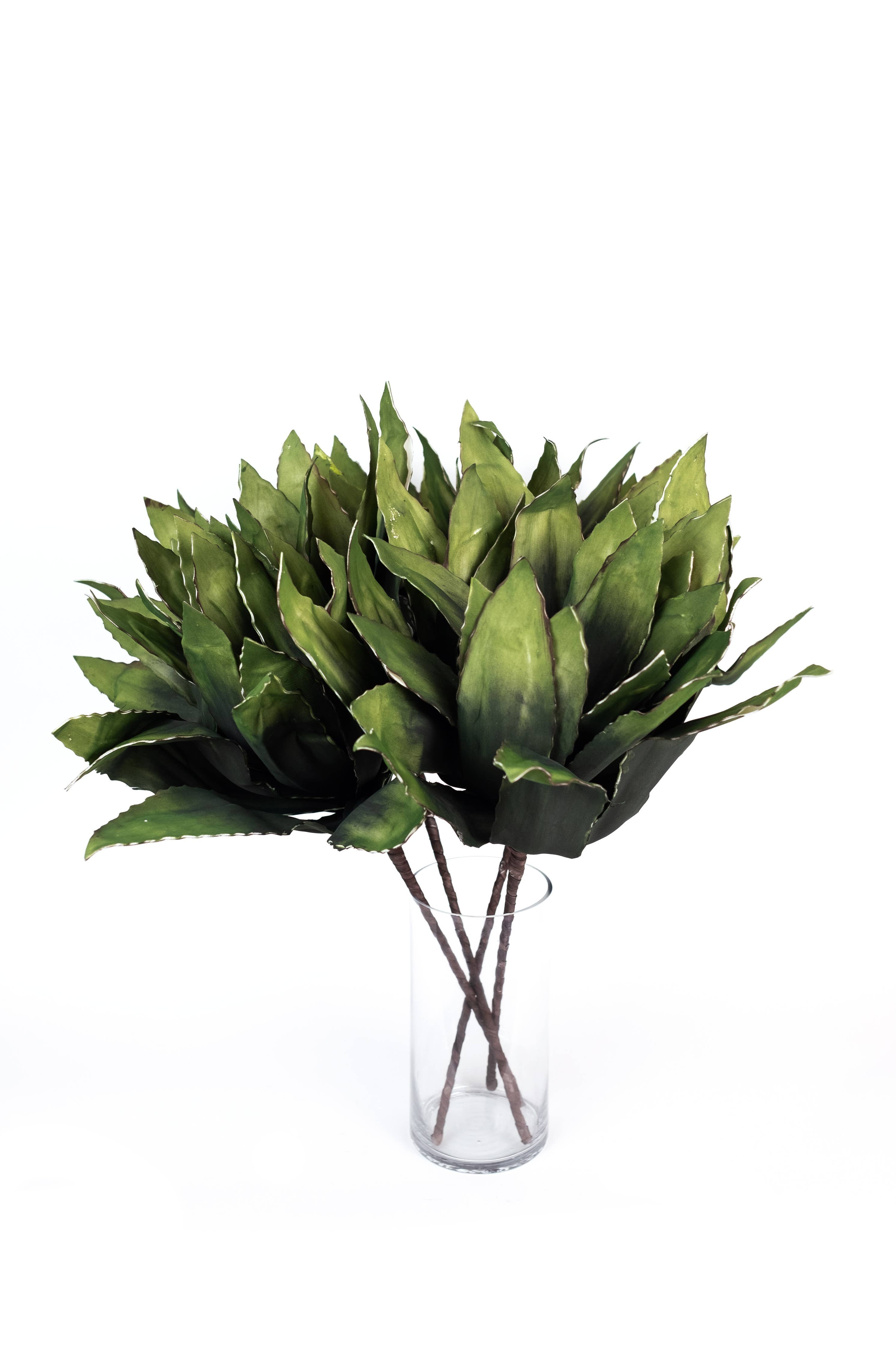 Crown Green Leaf