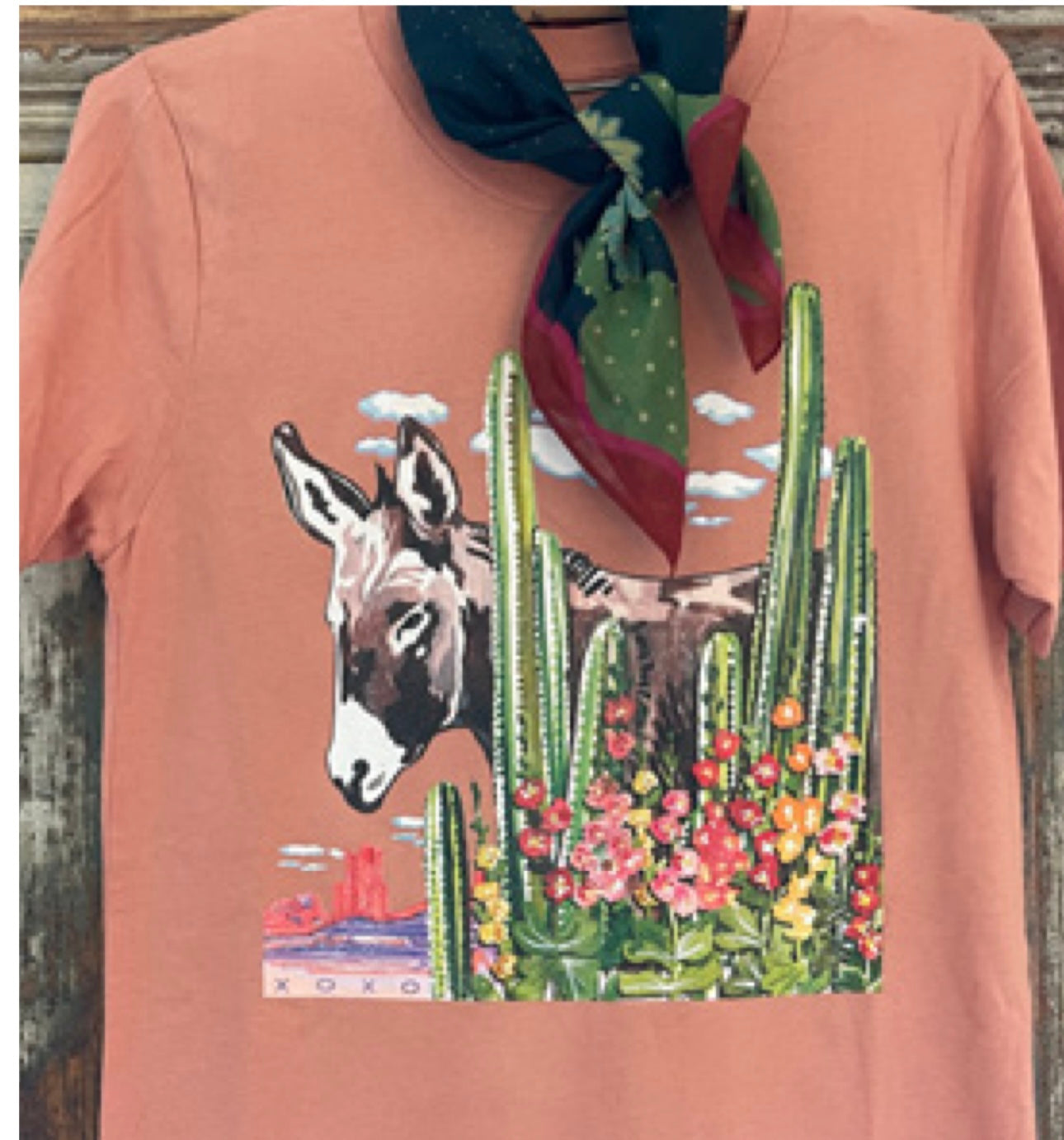 Bonita Desert Donkey Tee