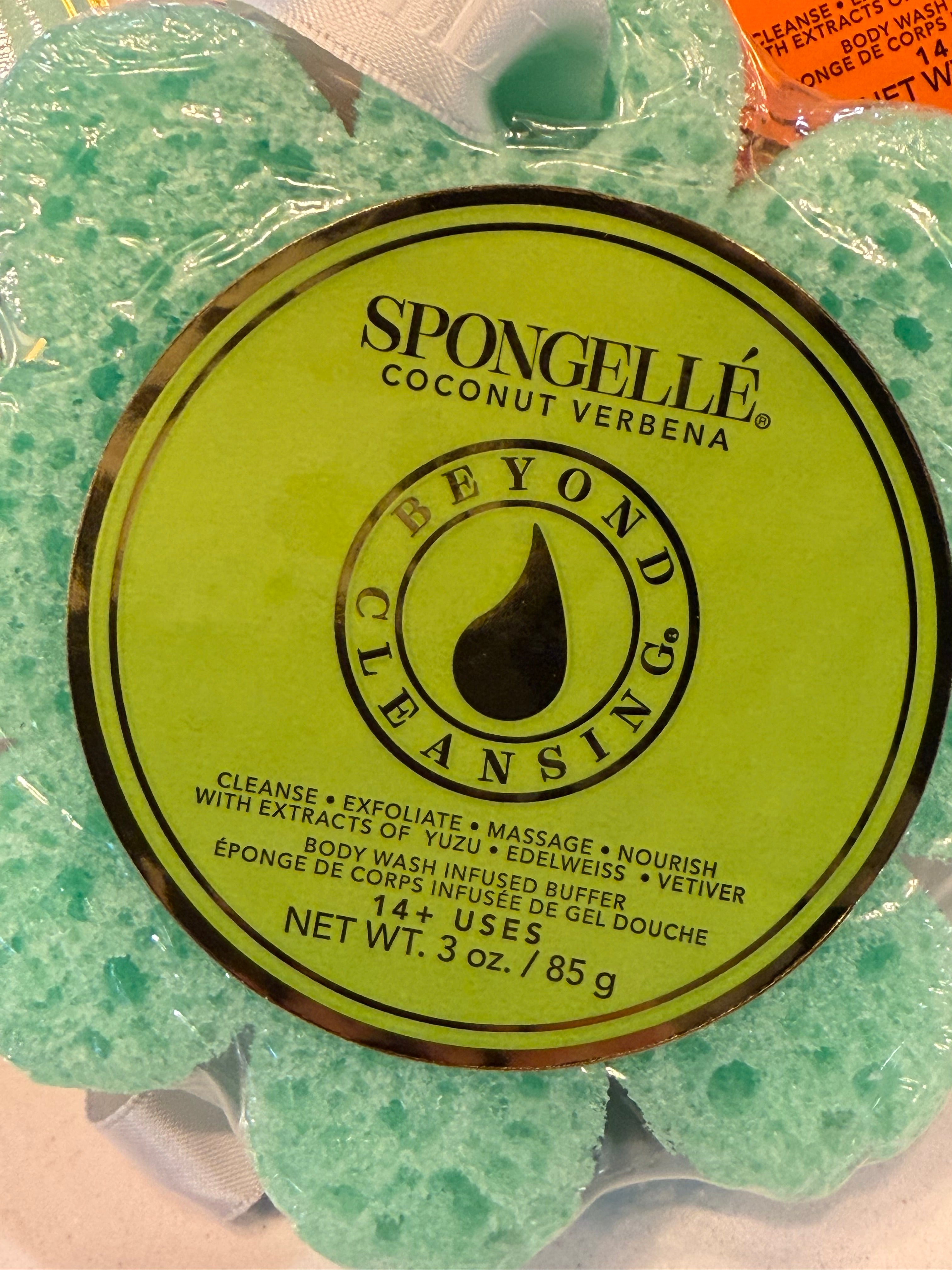 Spongelle Sponge- Assorted