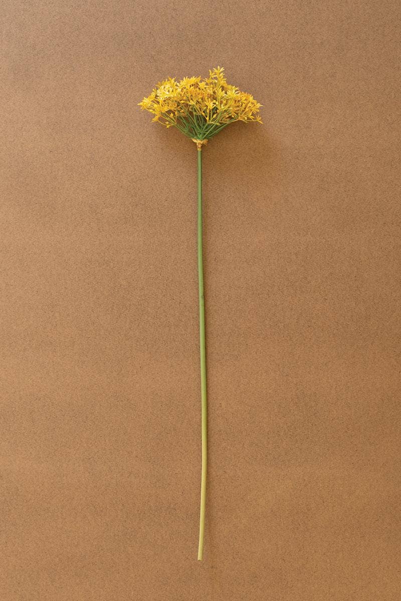 Scallion Yellow Flower