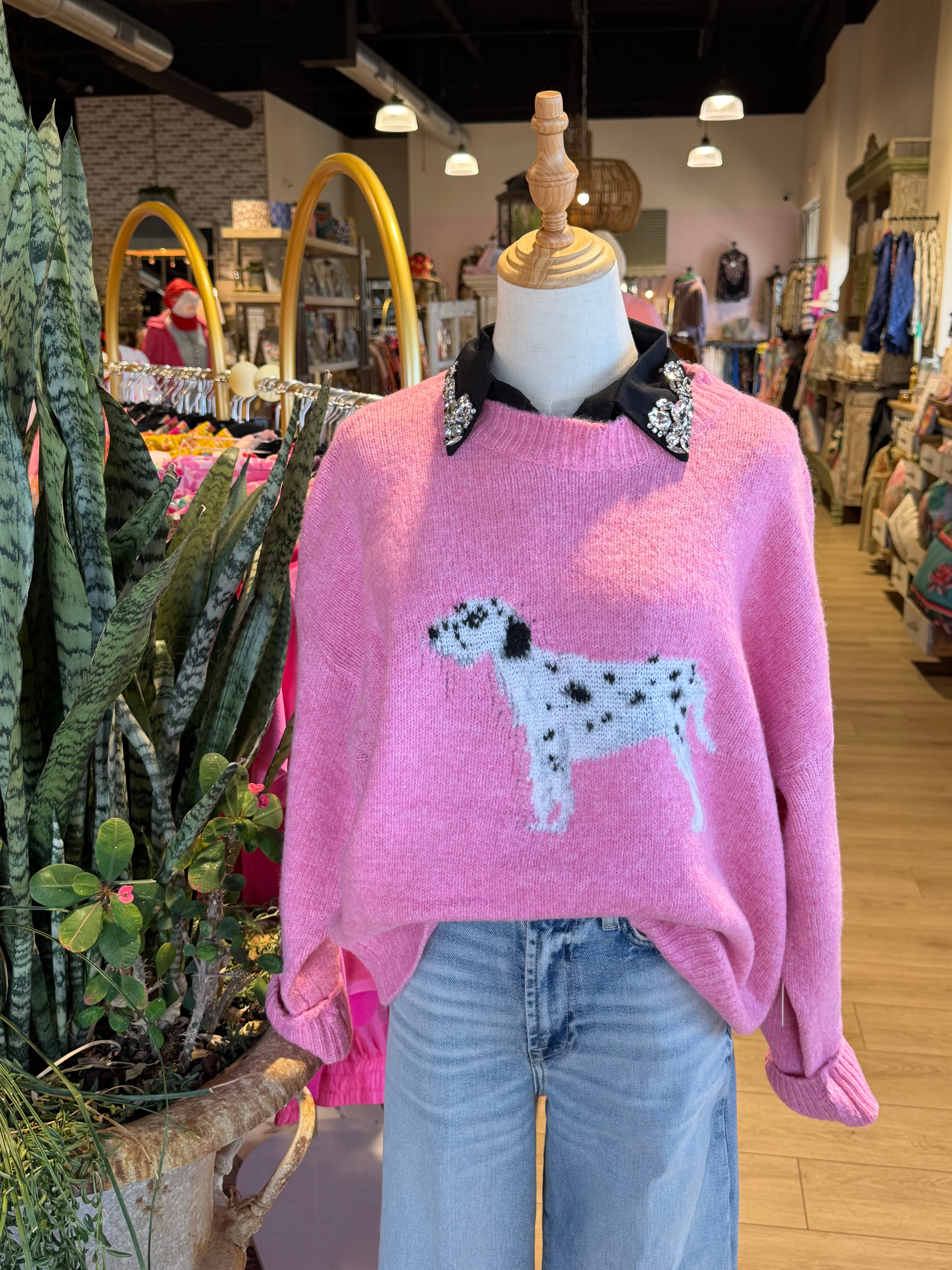 French Spotted Dog Sweater