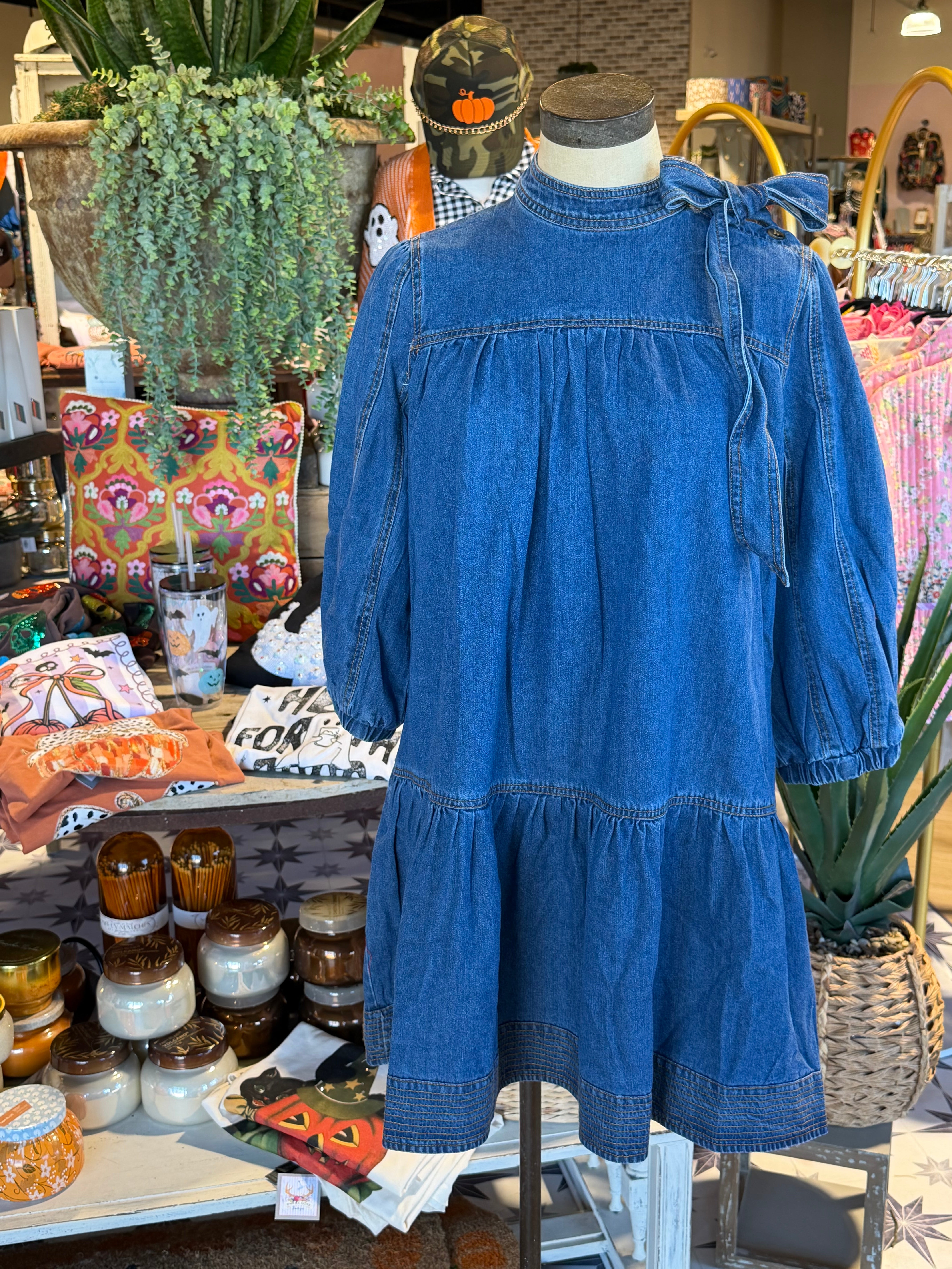 Haley Denim Dress