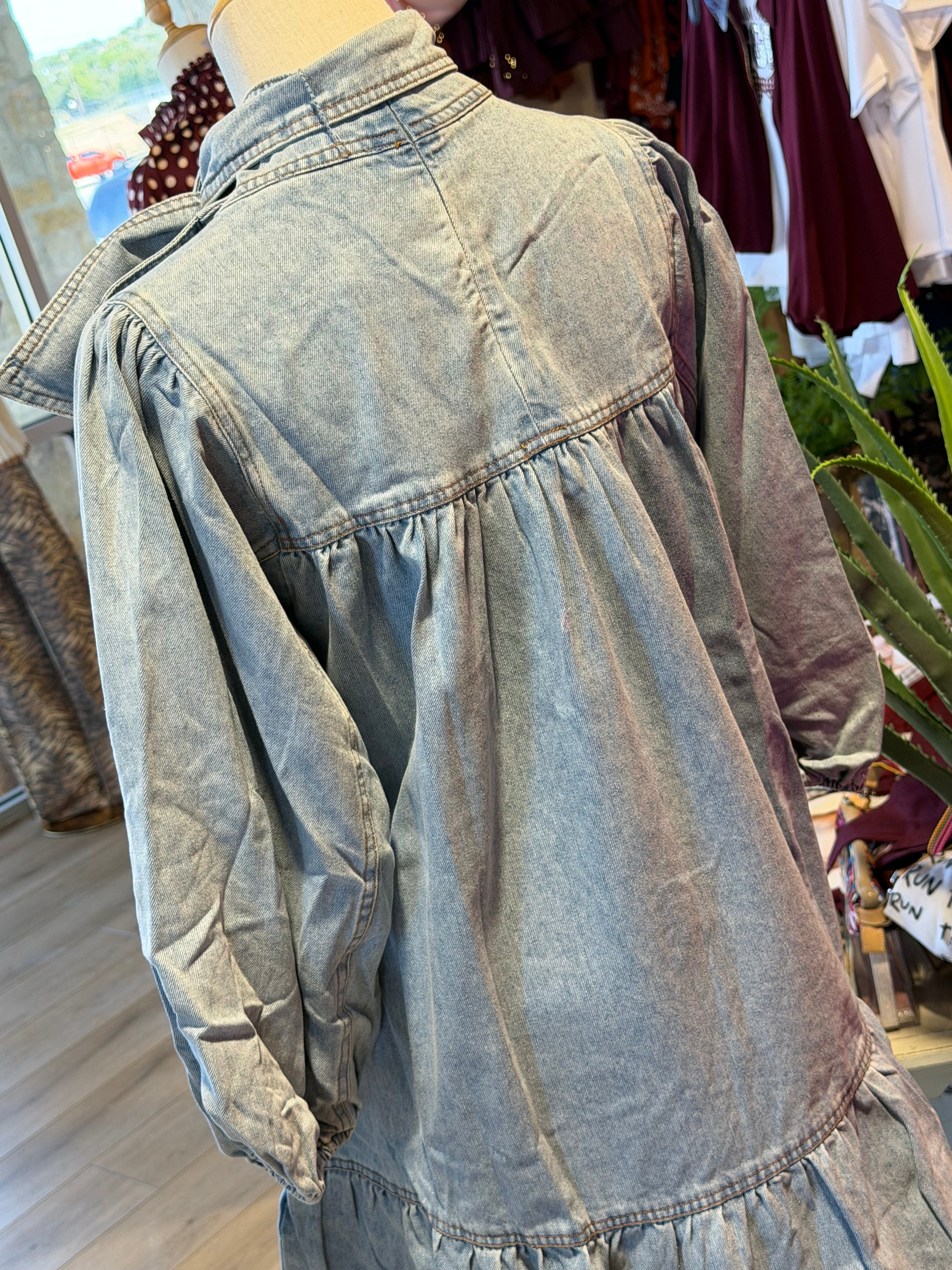 Zelda Denim Dress