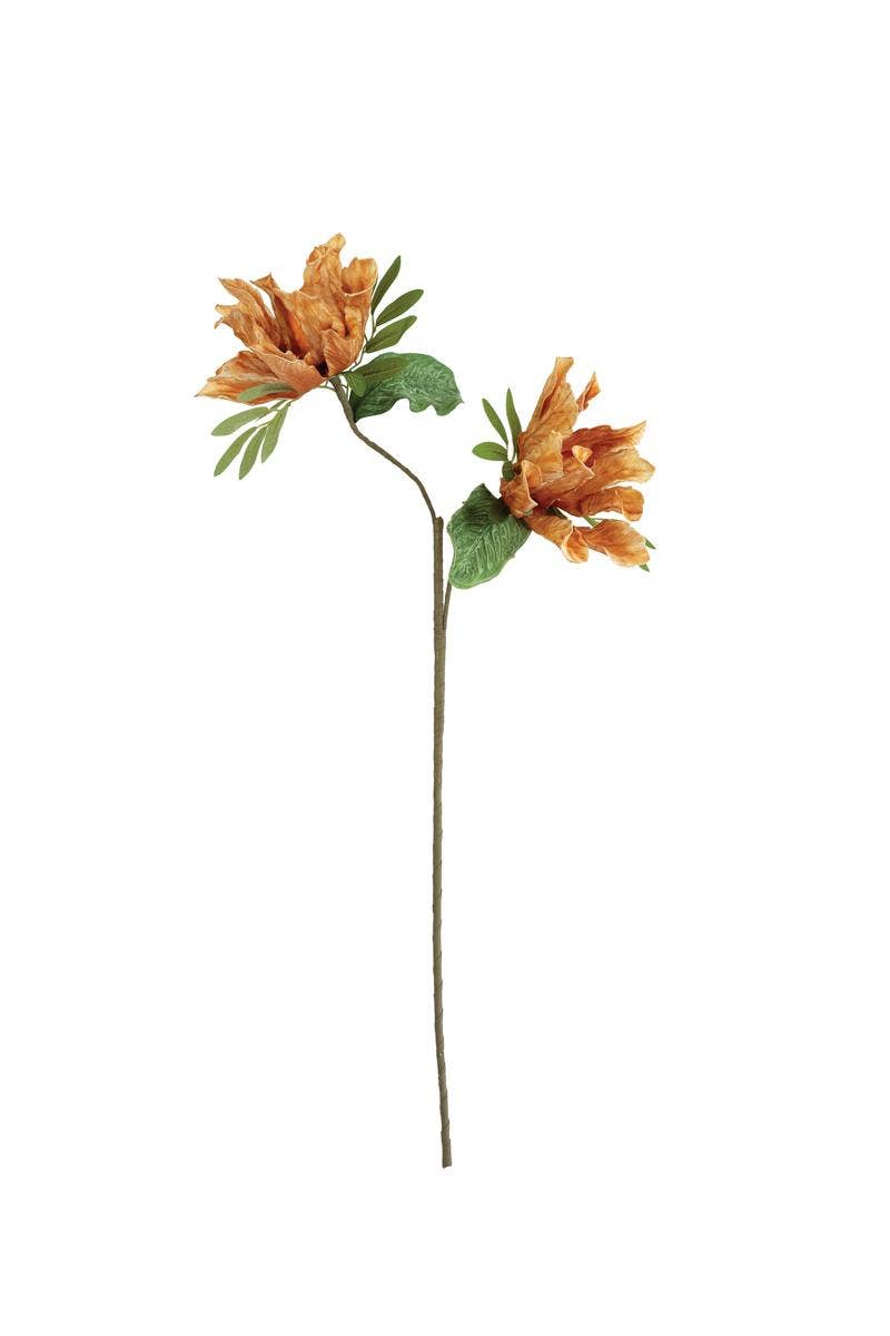 Botanica Peach