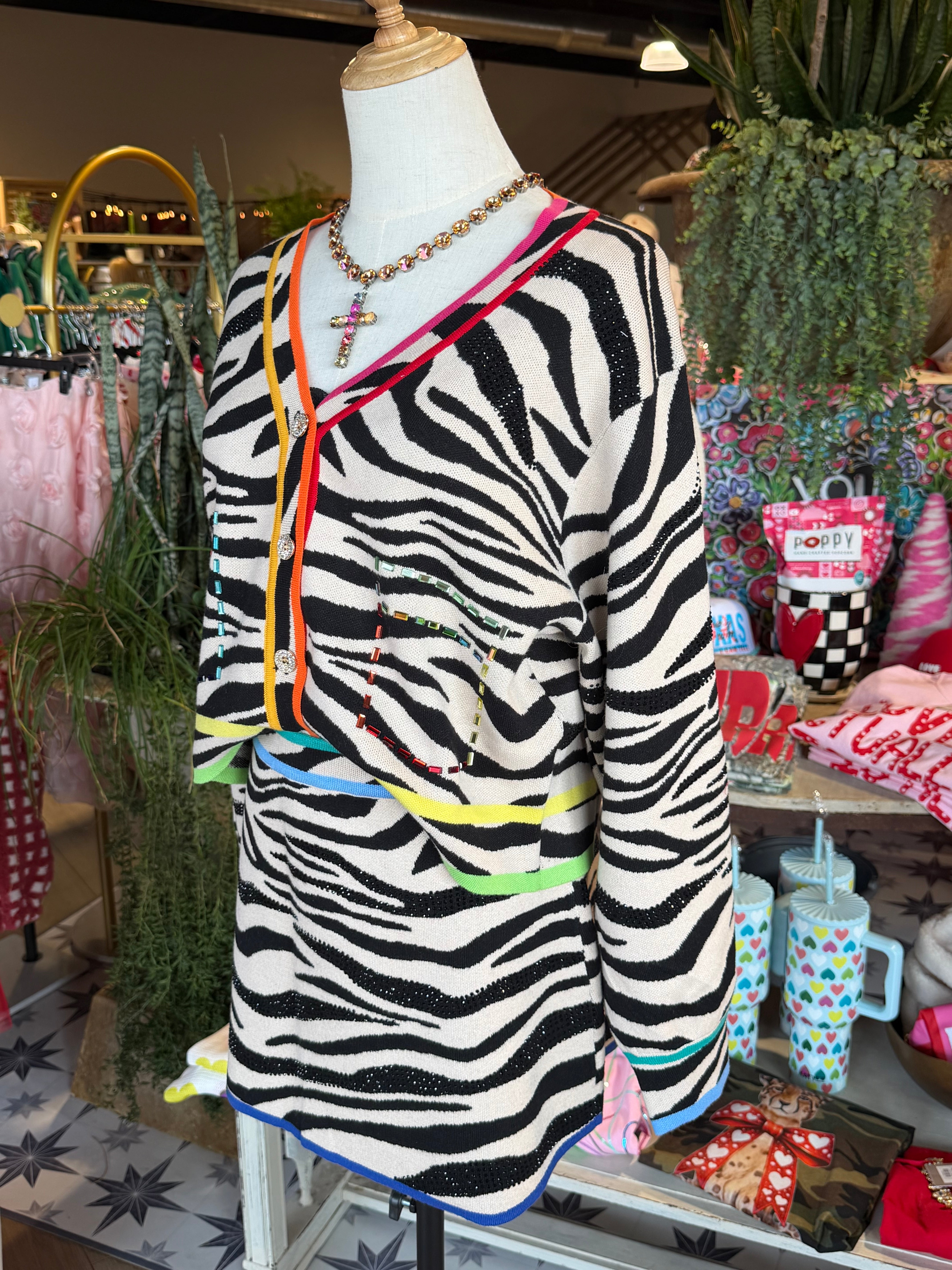 Zesty Zebra Skirt Set