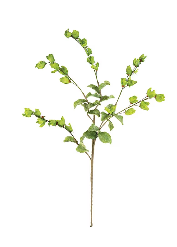 Botanica #3187
