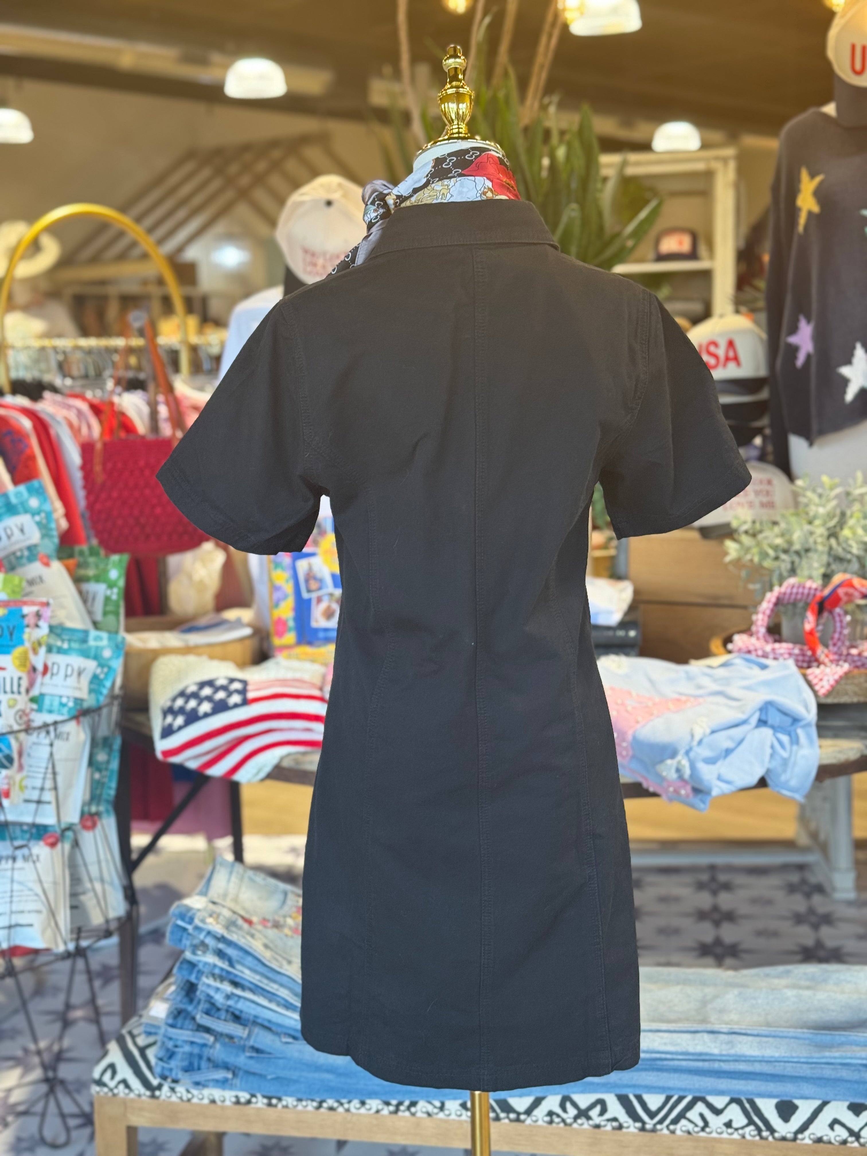 Twill Paneled Shirt Dress