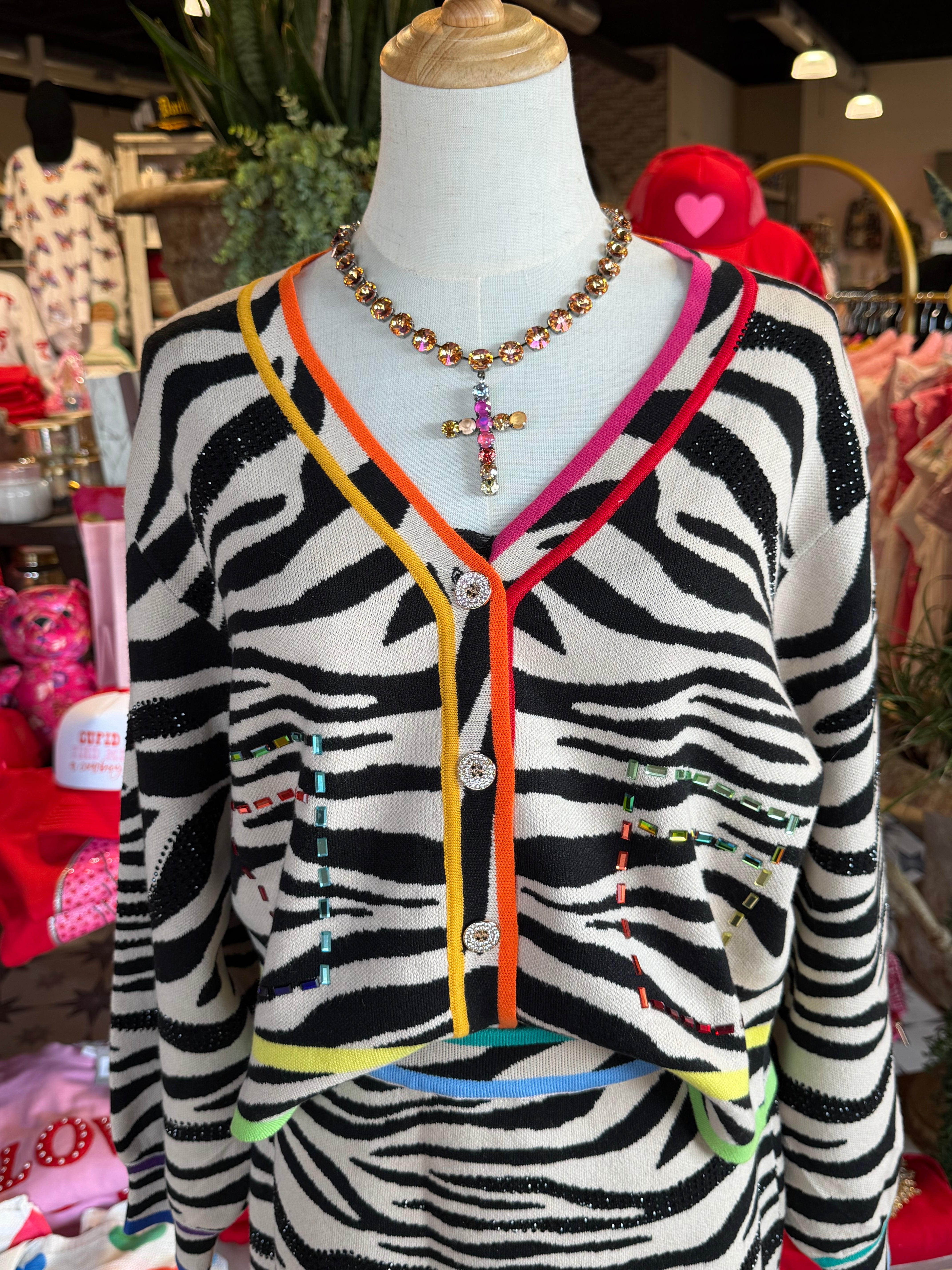 Zesty Zebra Skirt Set