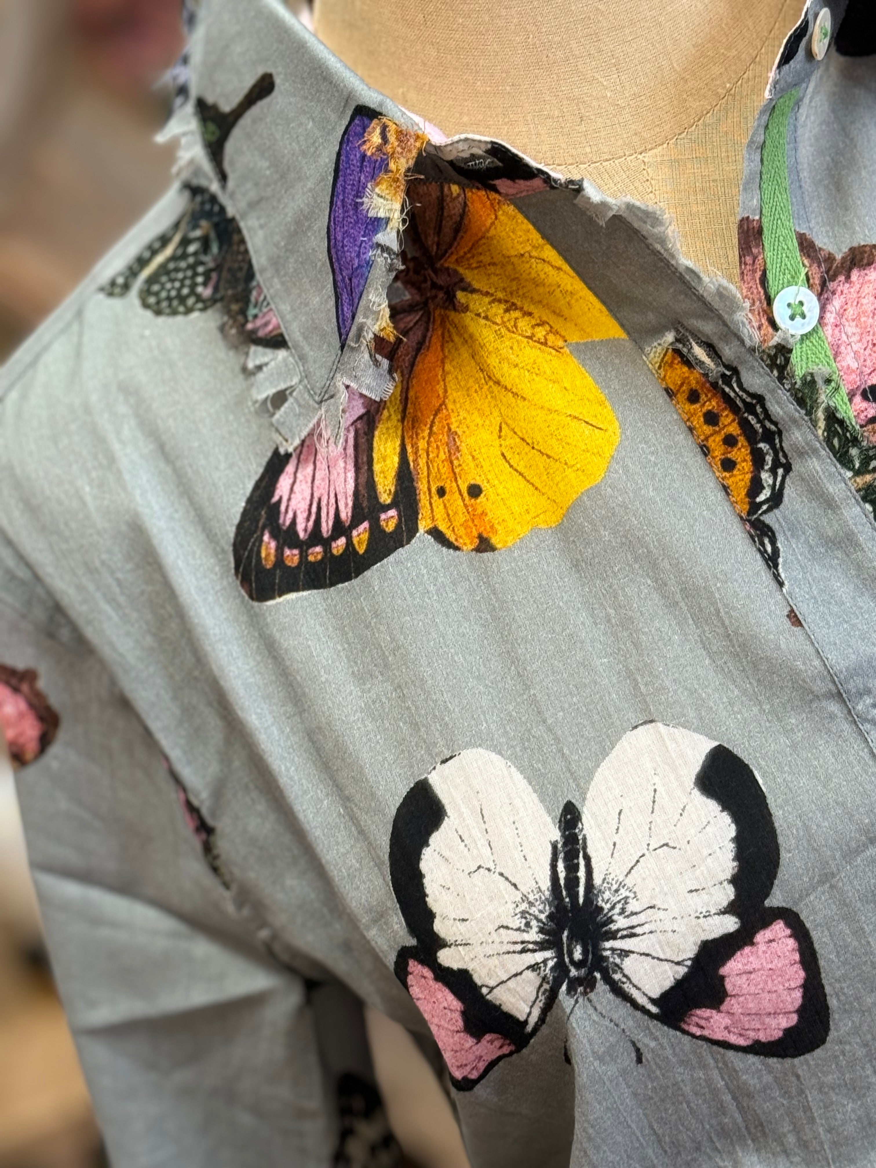 Earl Gray Butterfly.***