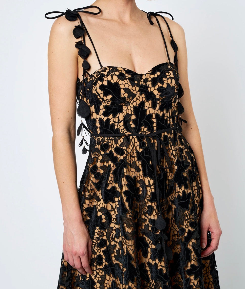 Lauren Dress