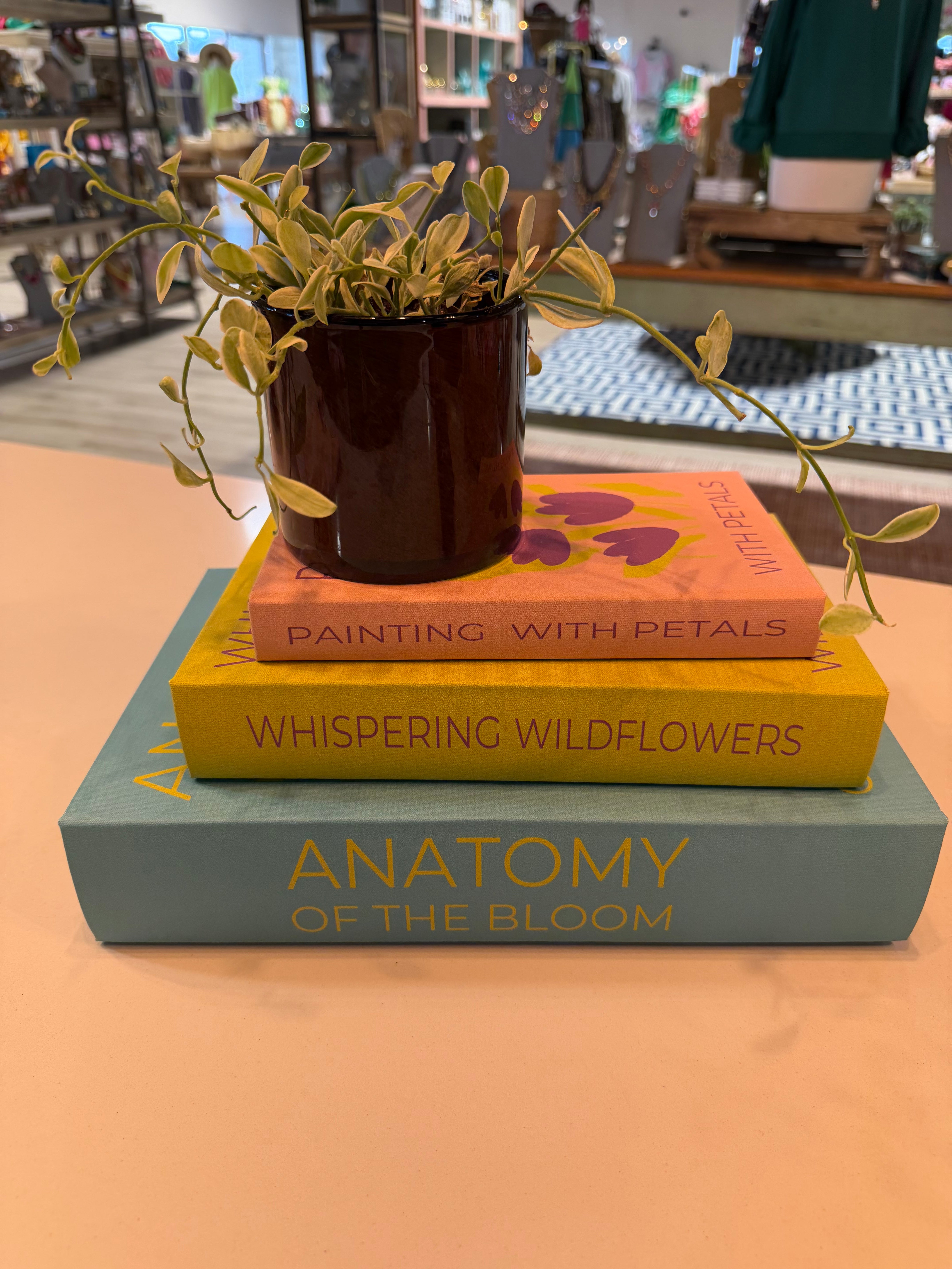 Canvas Book Storage Boxes (2 Styles)