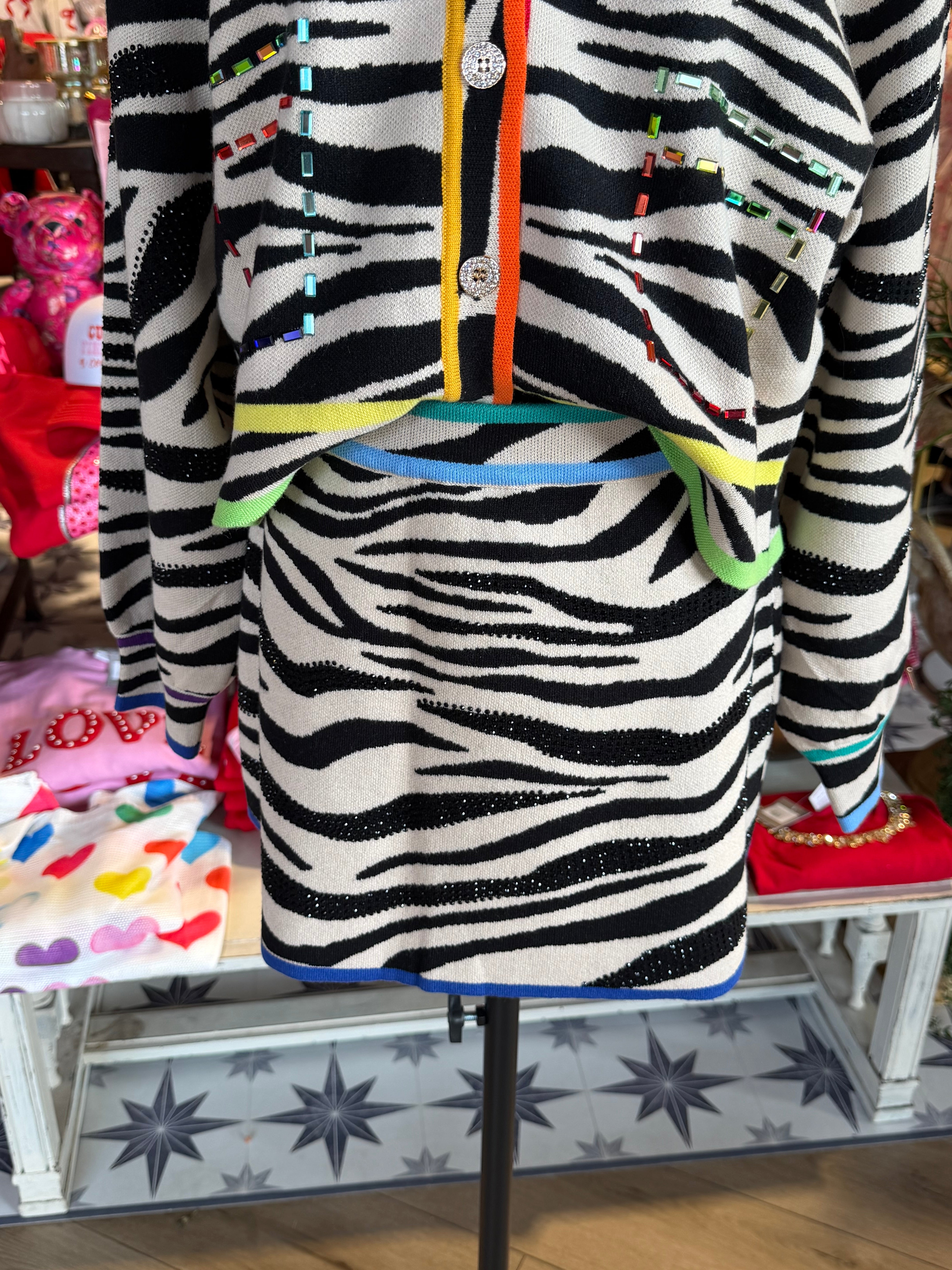 Zesty Zebra Skirt Set