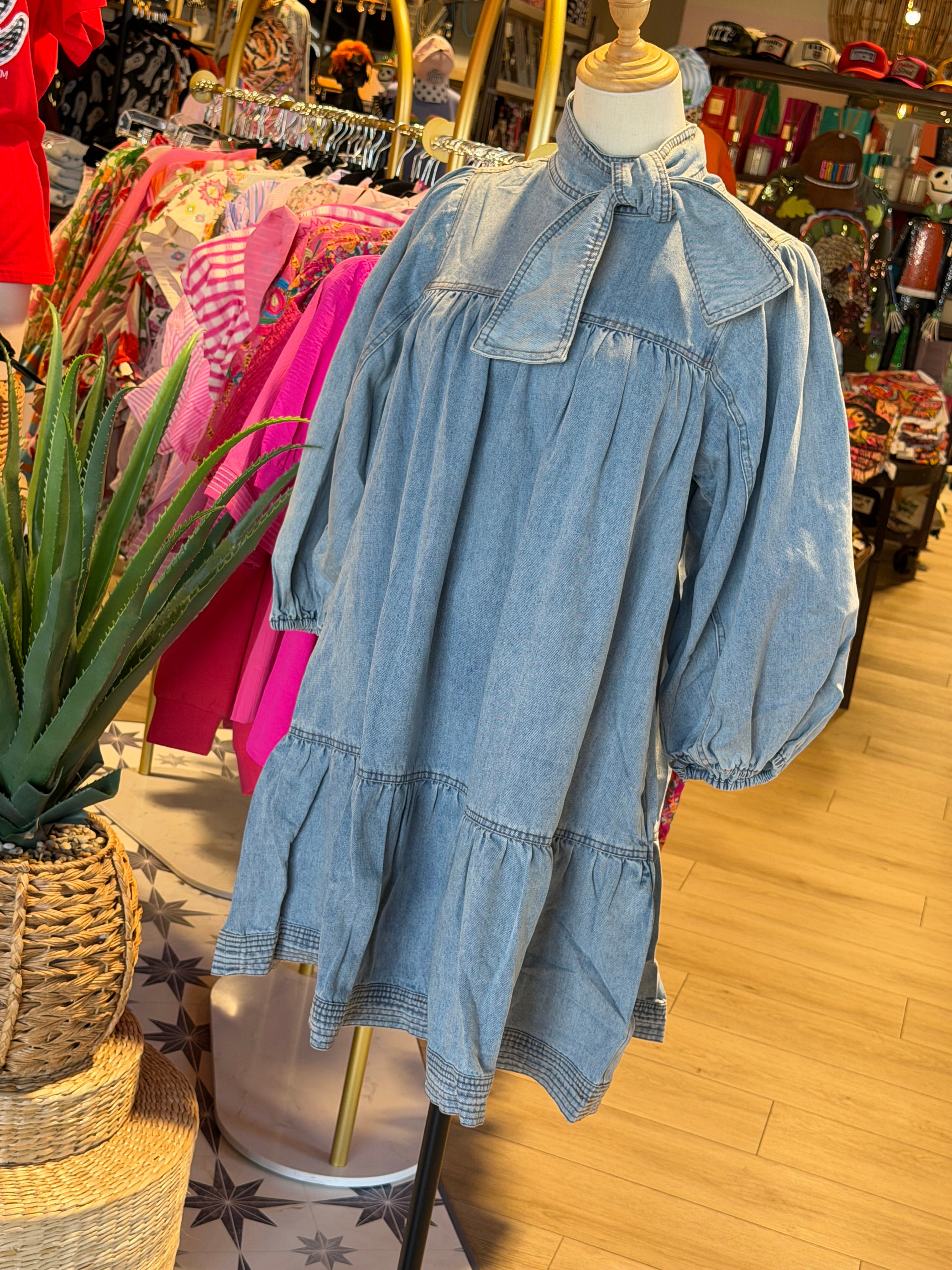 Zelda Denim Dress