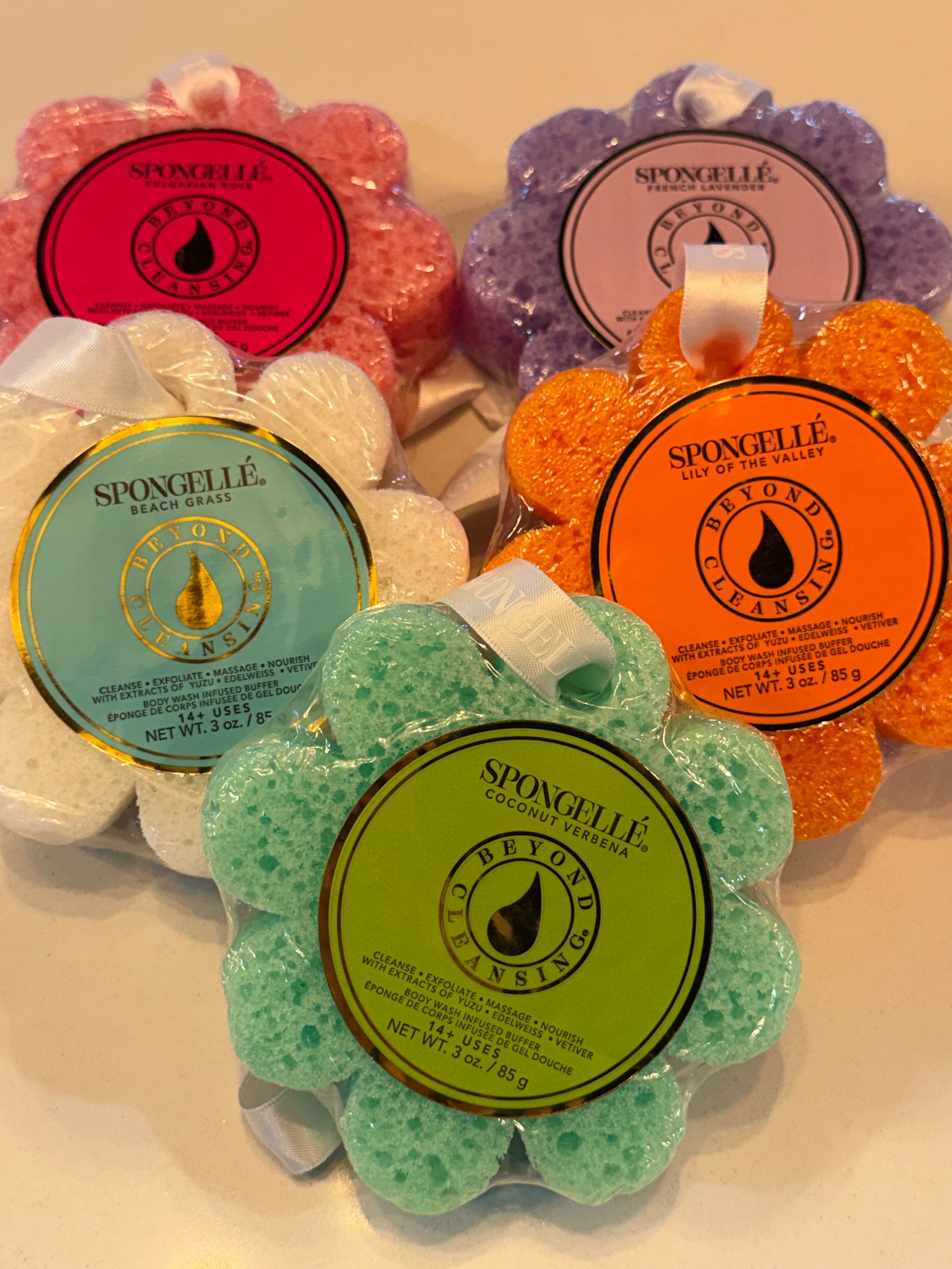 Spongelle Sponge- Assorted