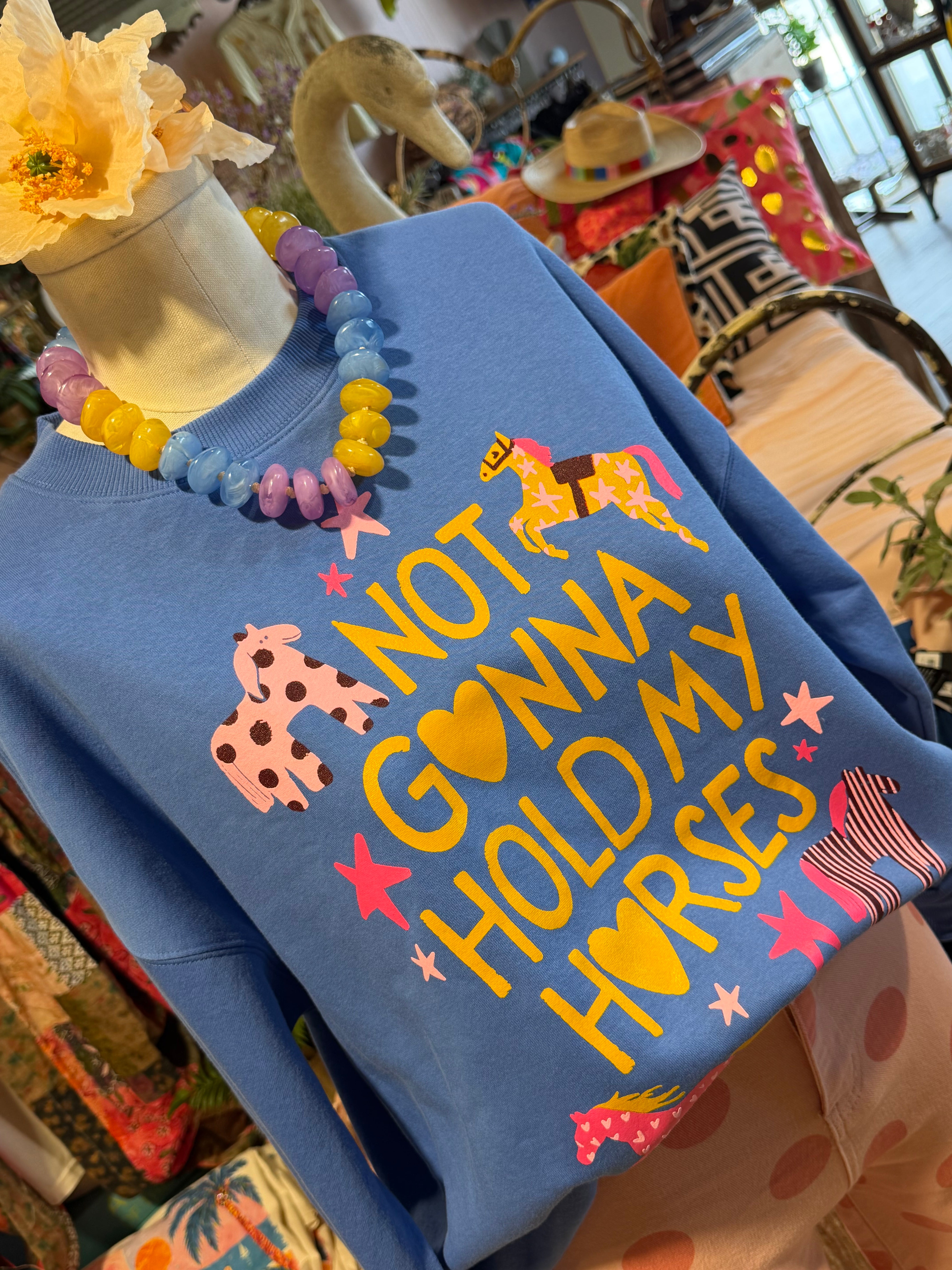 Not Gonna Hold My Horses Sweatshirt