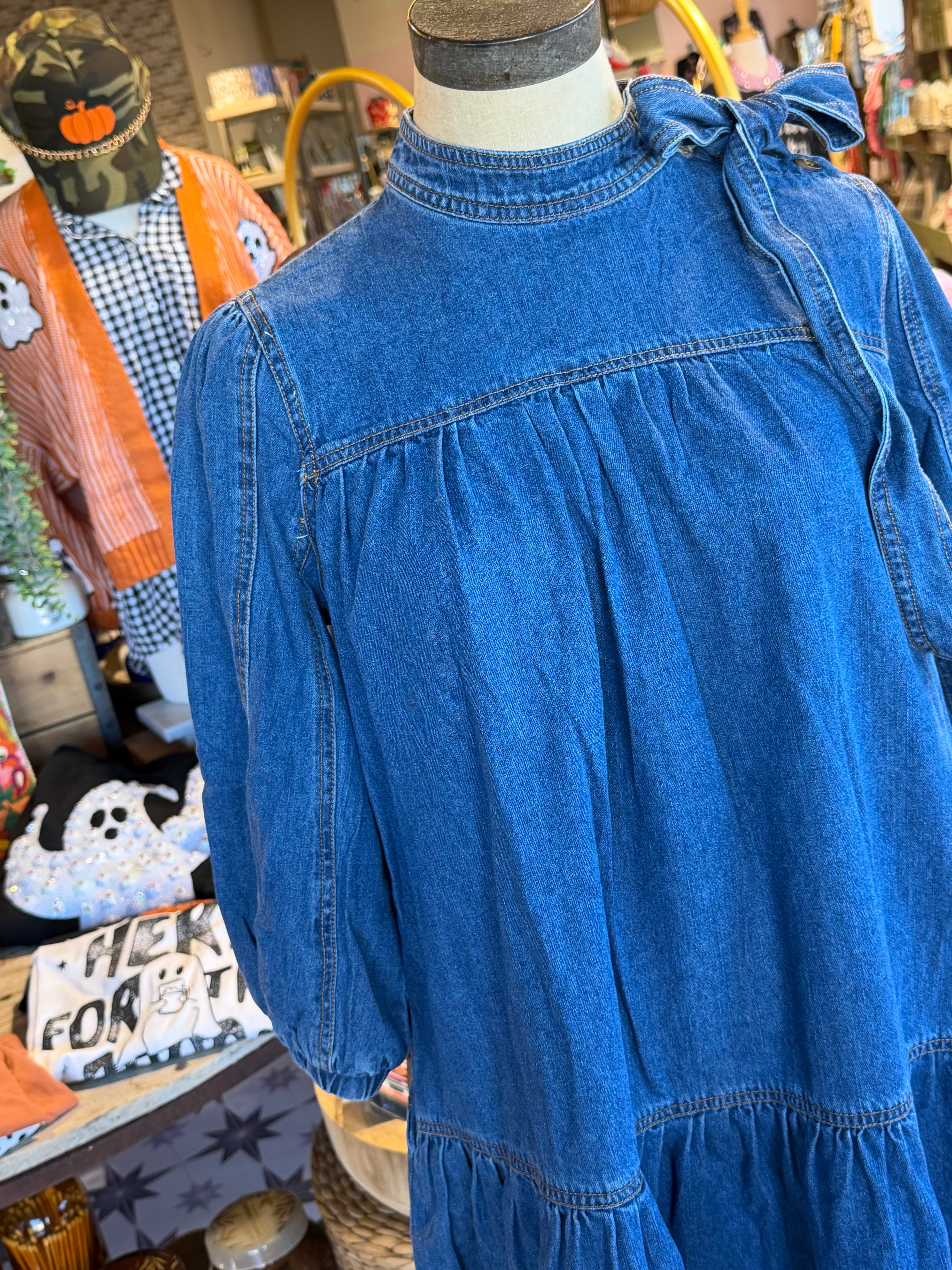Haley Denim Dress
