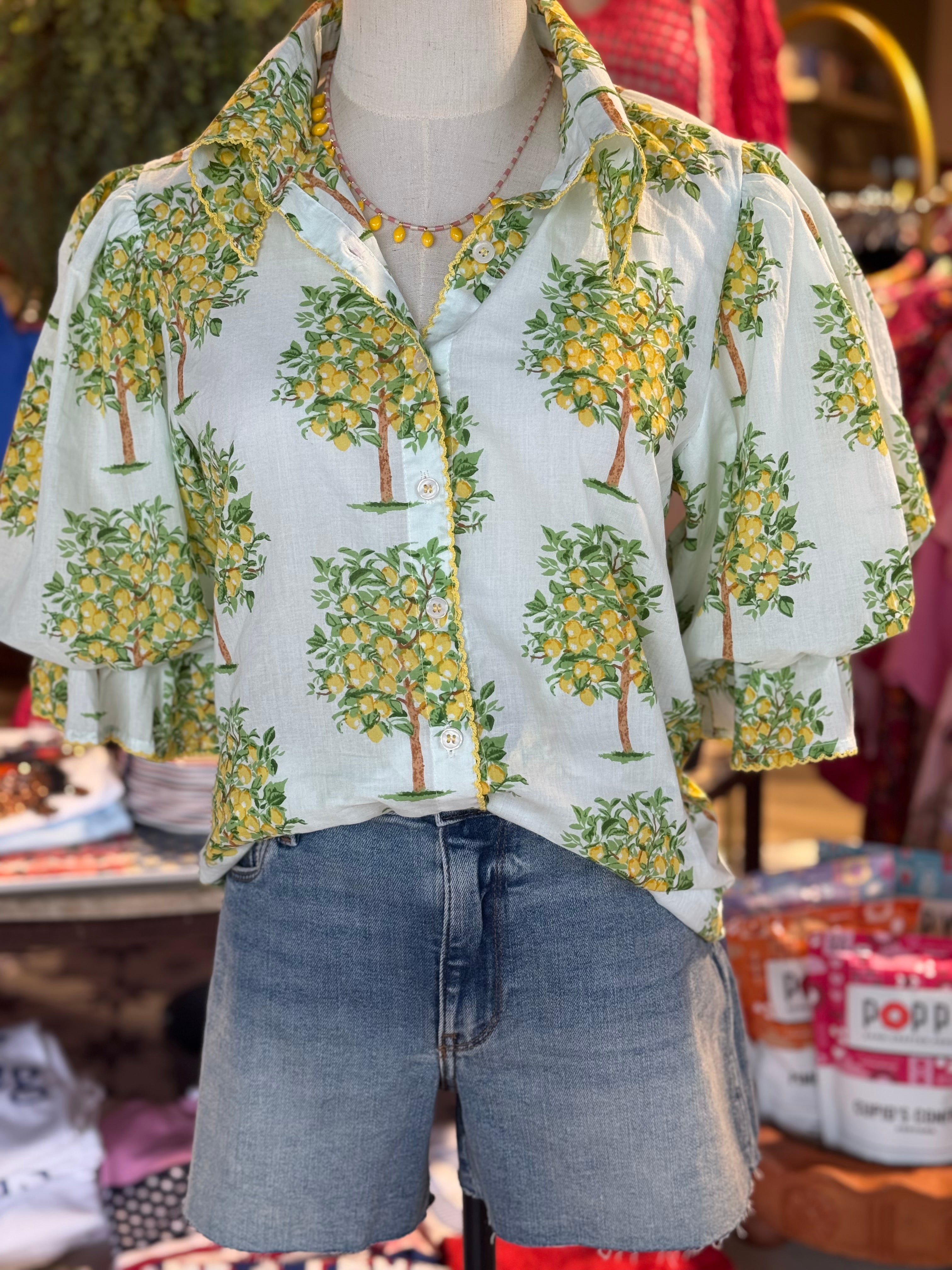 Lemon Tree Top