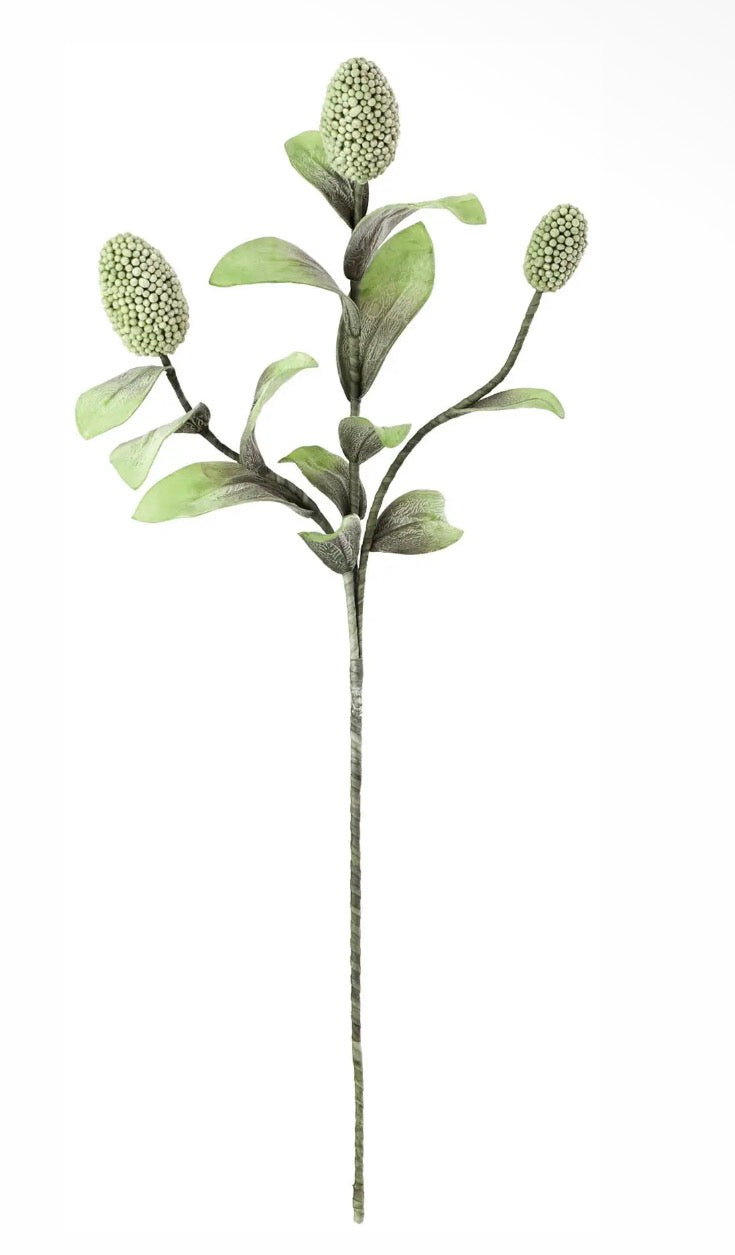 Botanical Flowers- Assorted