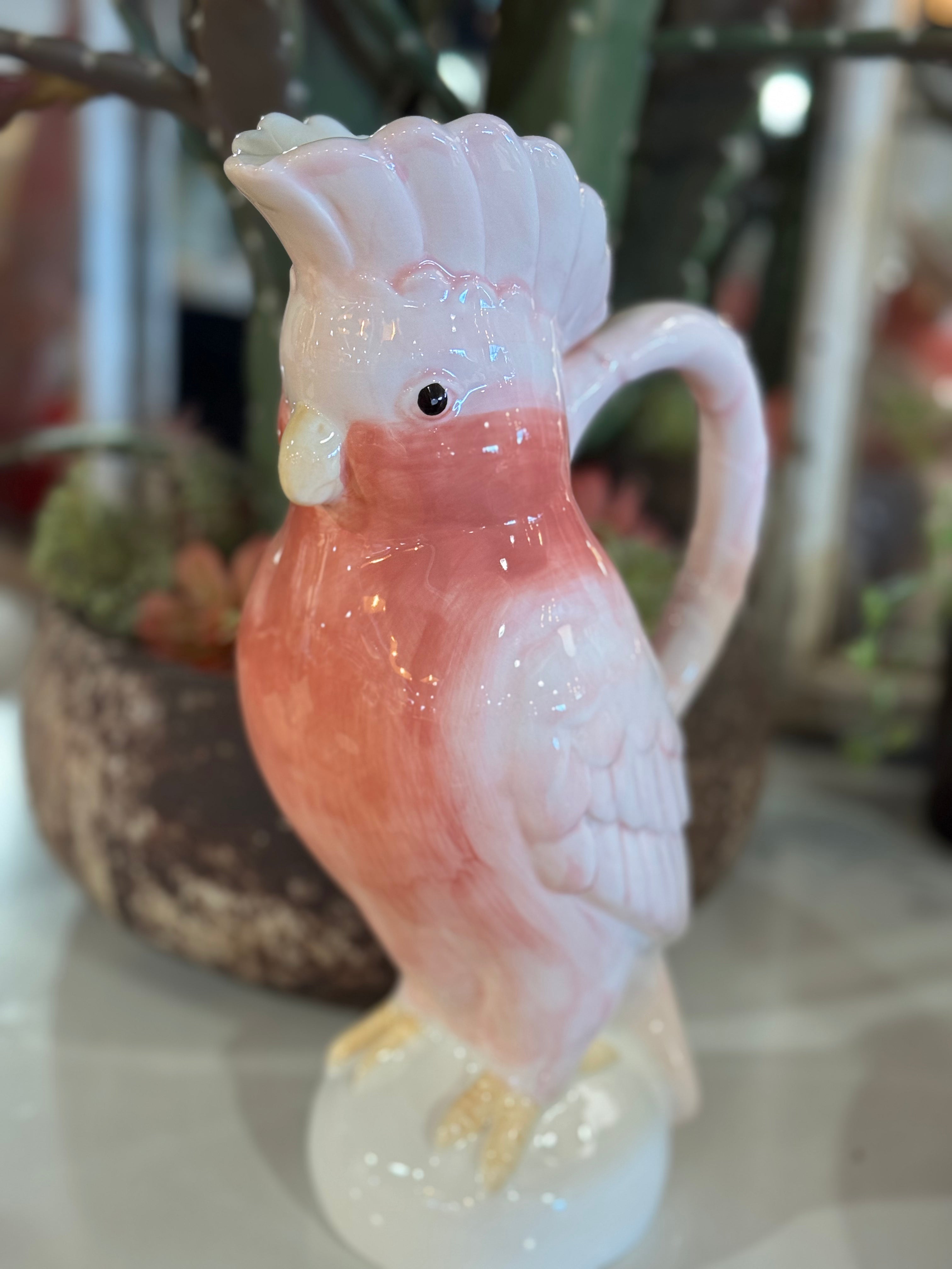 Cockatoo Pitcher