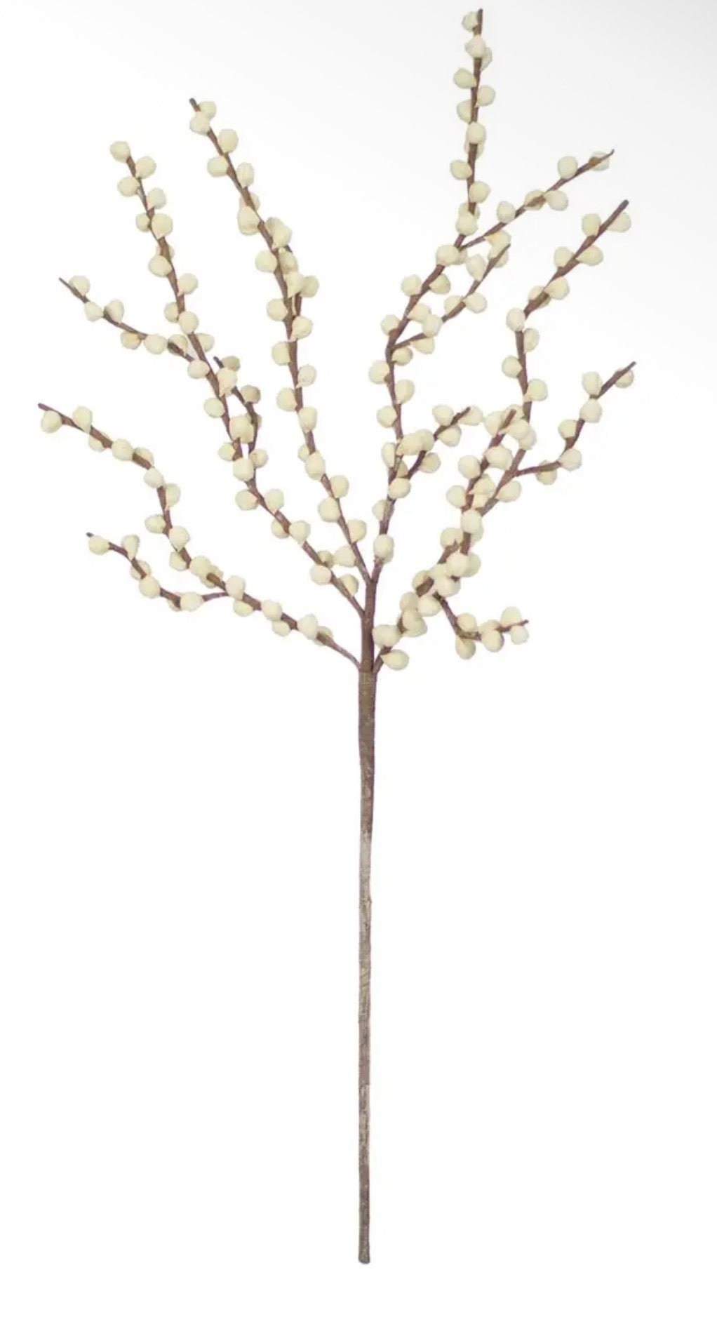 Botanical Flowers- Assorted