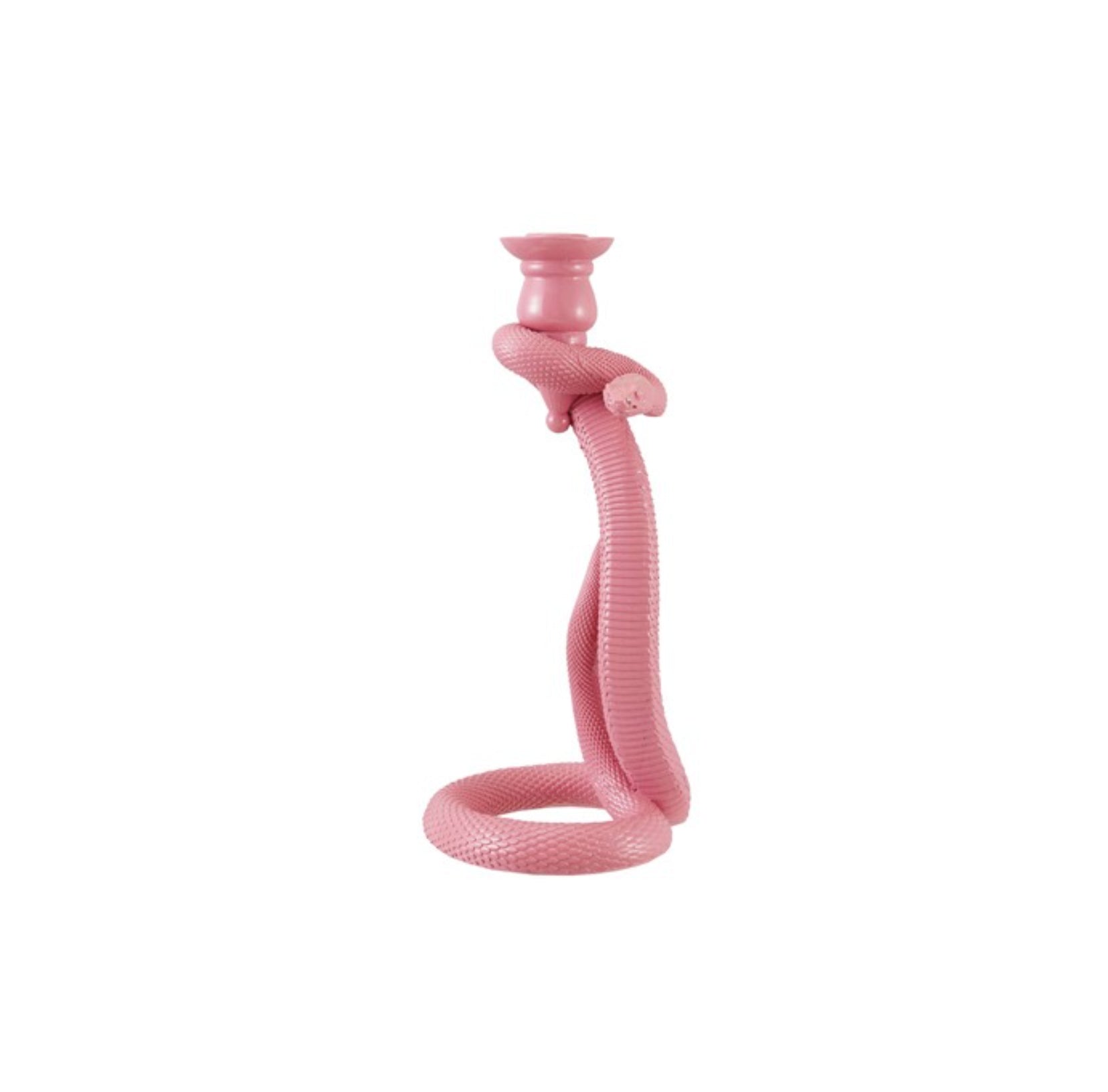 Snake Candle Holder