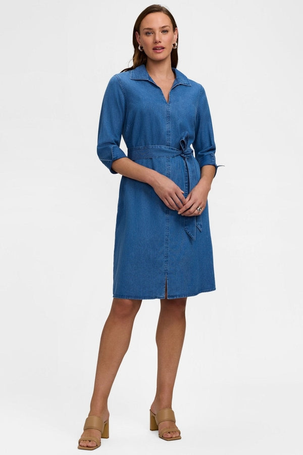 Agnes Denim Dress