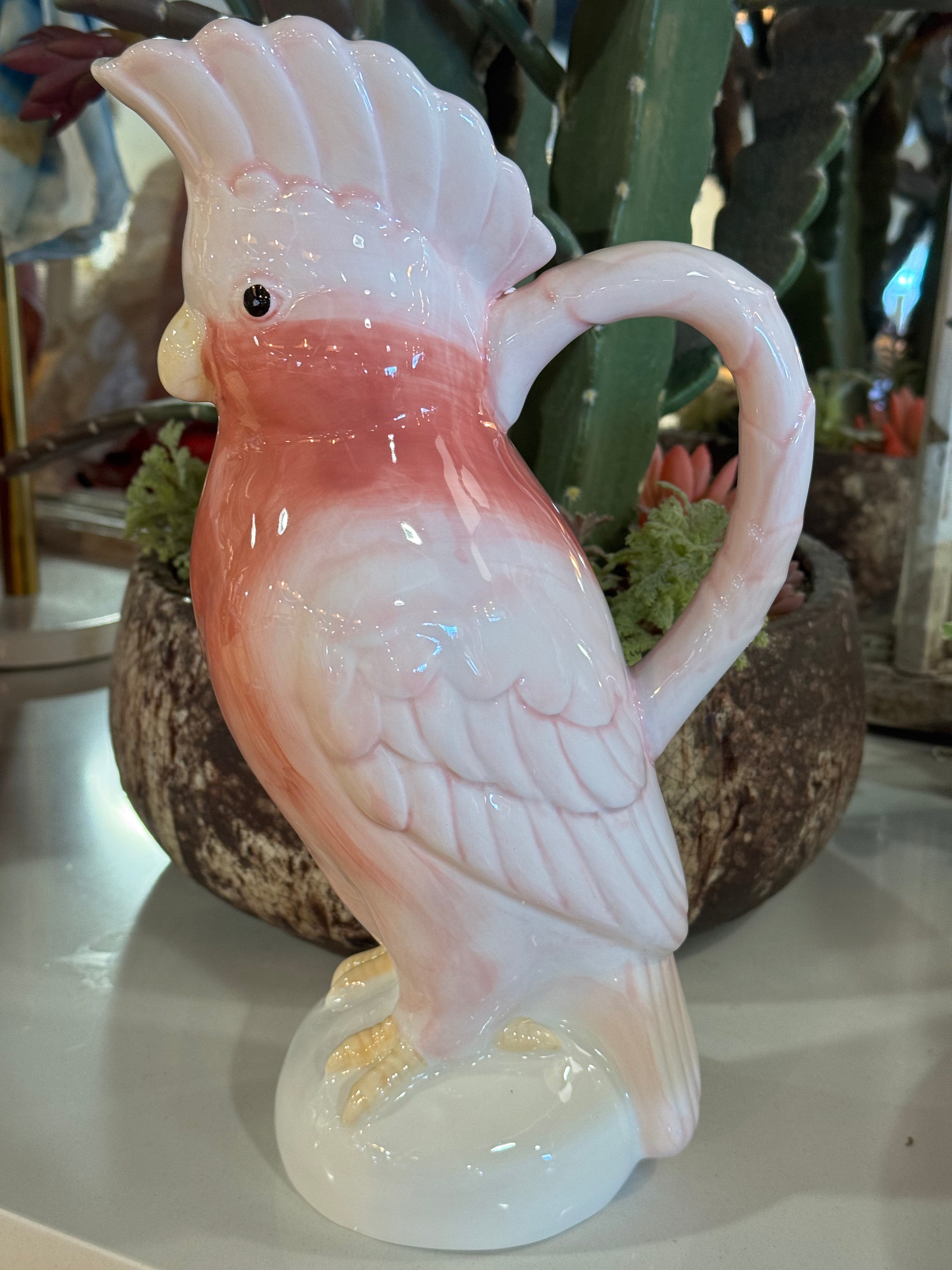 Cockatoo Pitcher