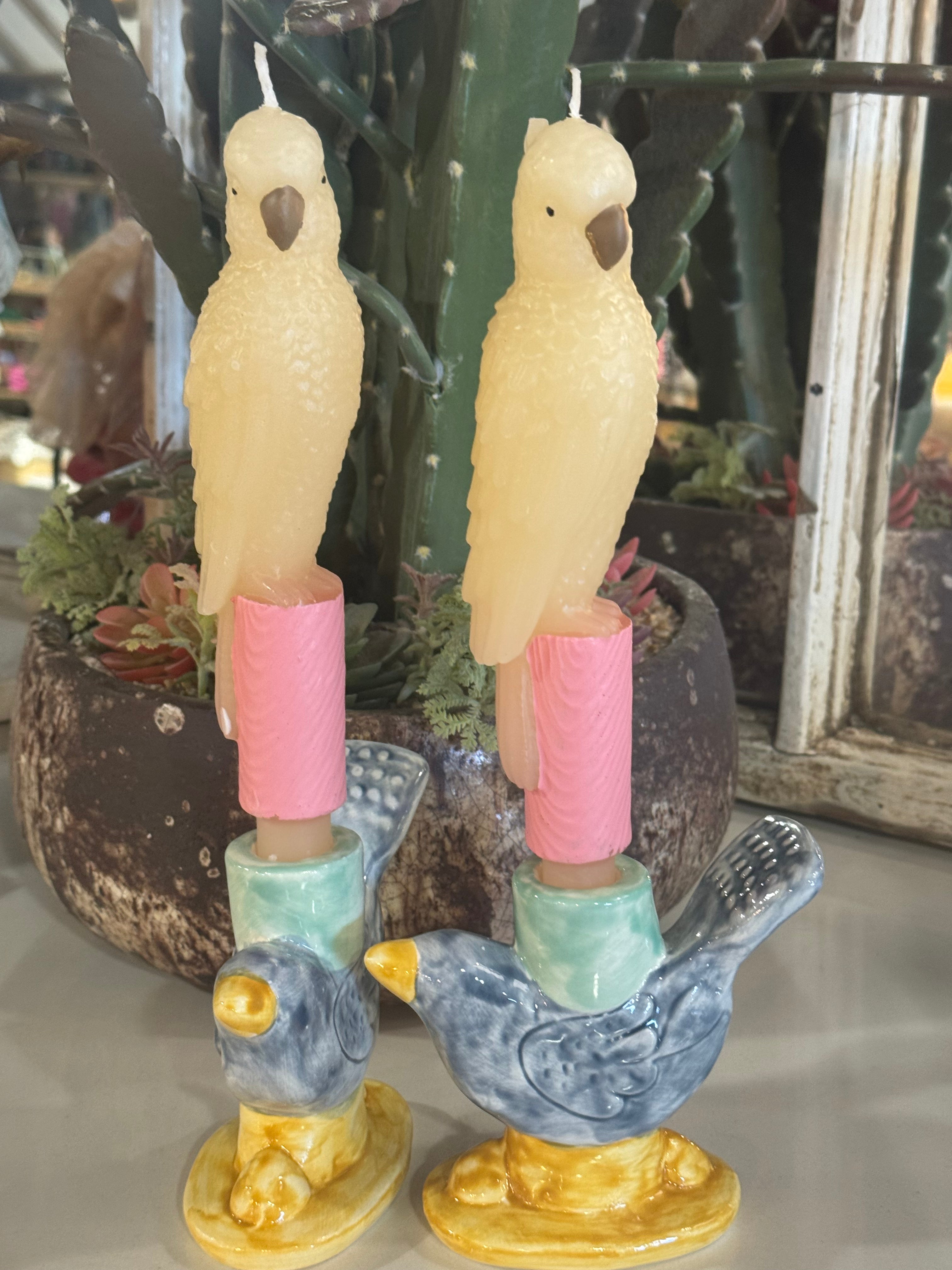 Parrot Taper Candle