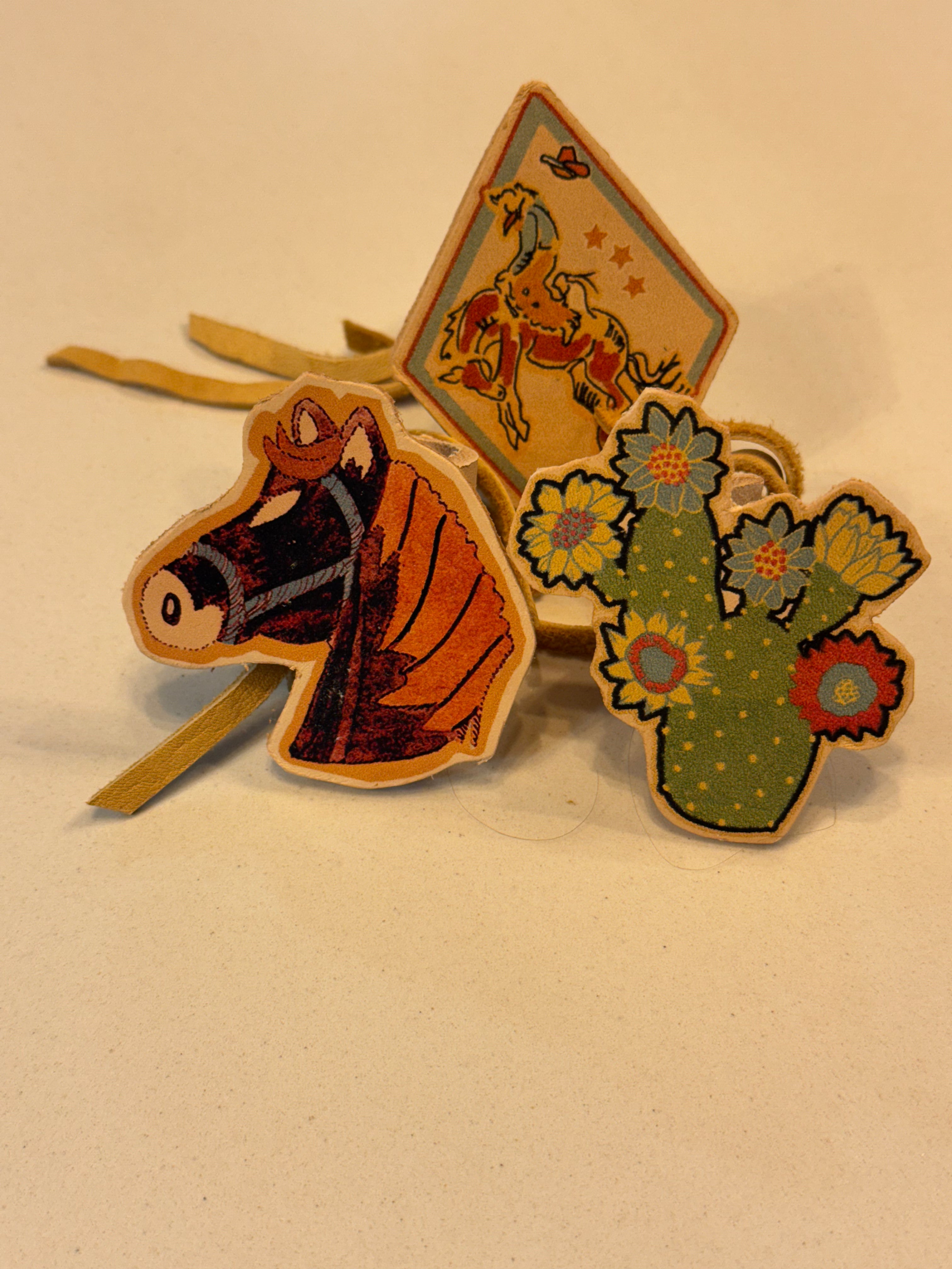 Cutout Western Slides & Pins- Assorted