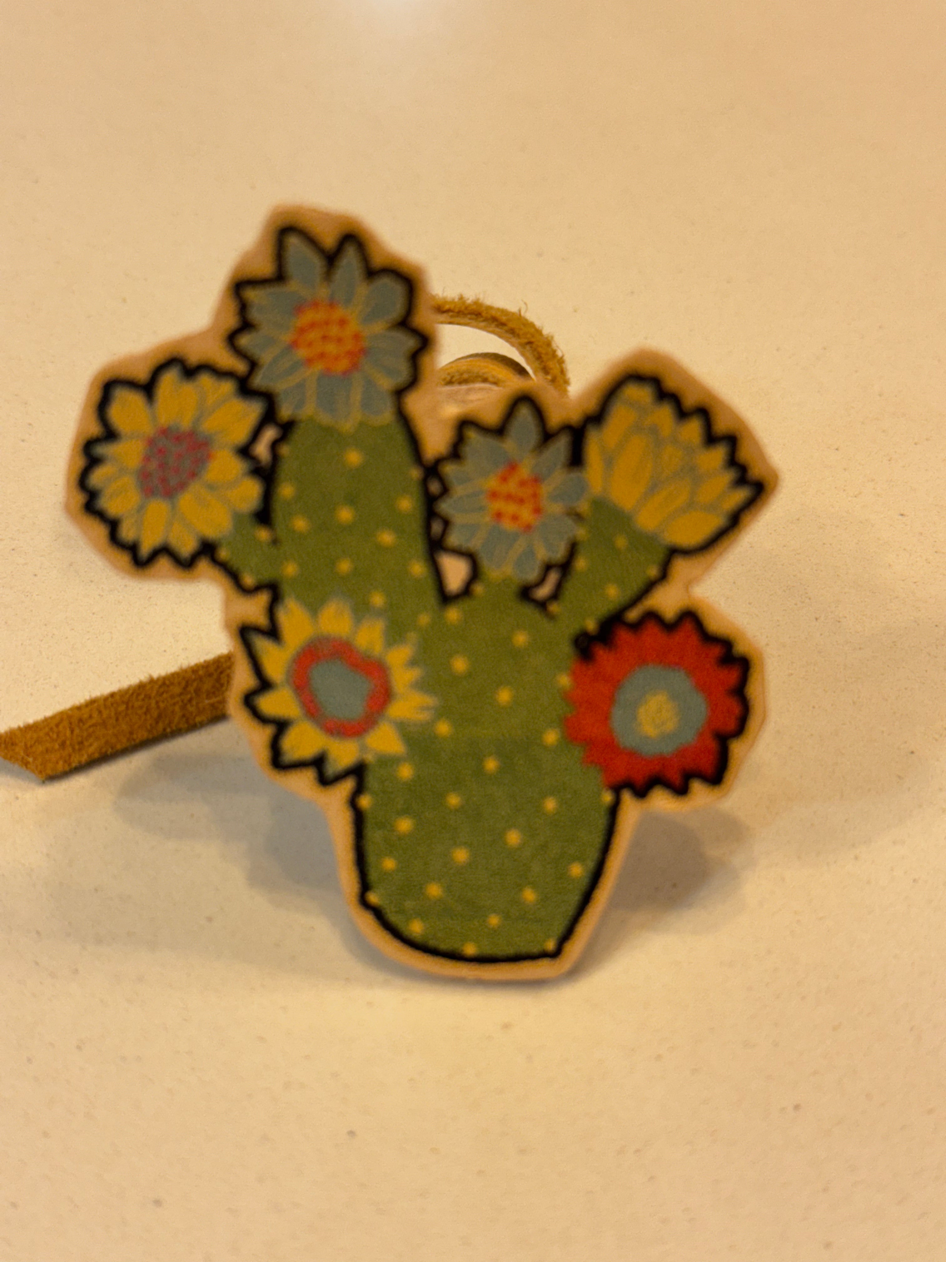 Cutout Western Slides & Pins- Assorted